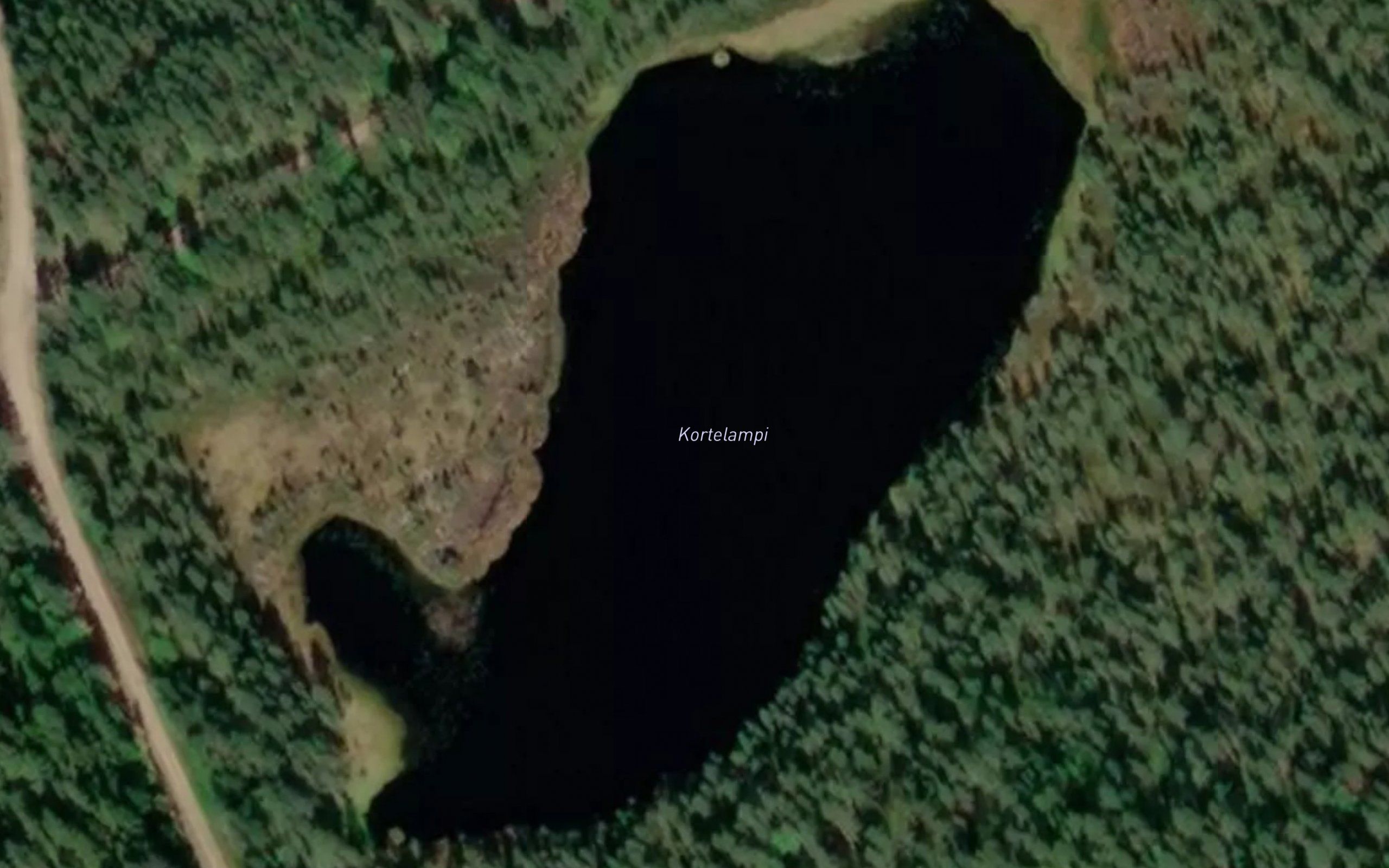Kortelampi