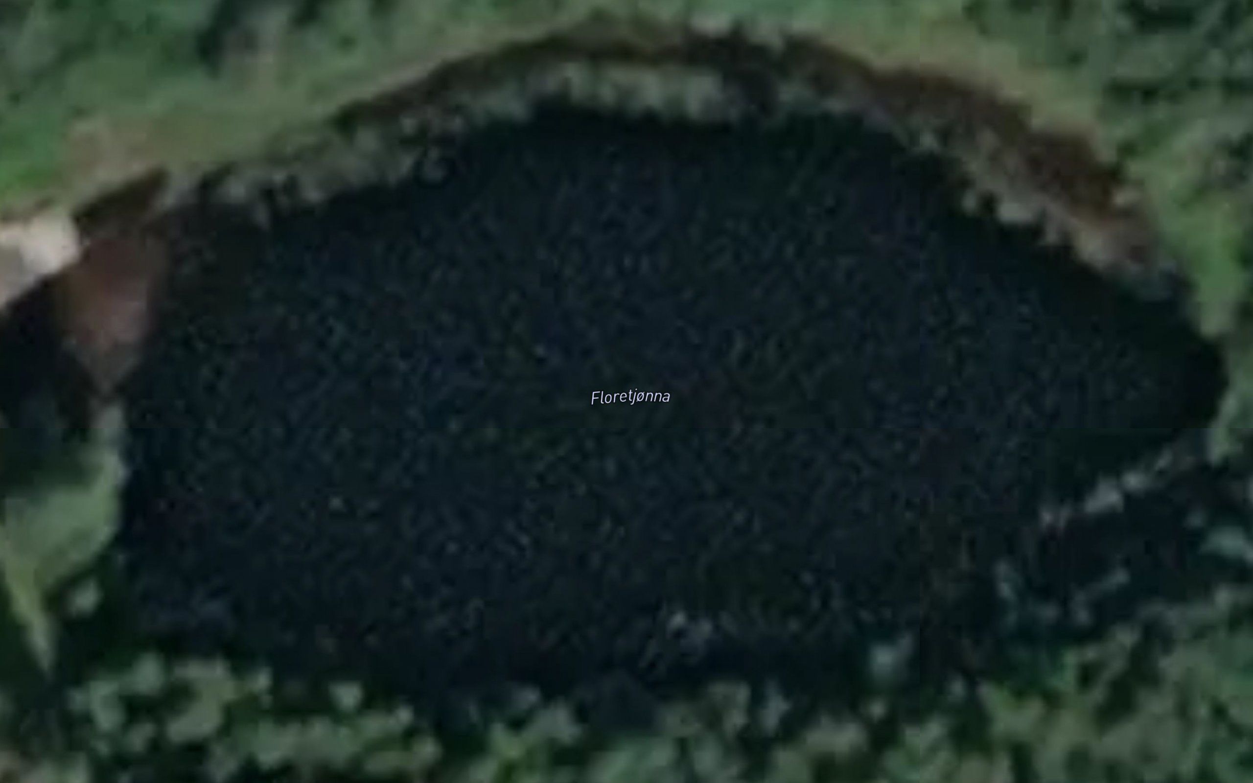 Floretjorna