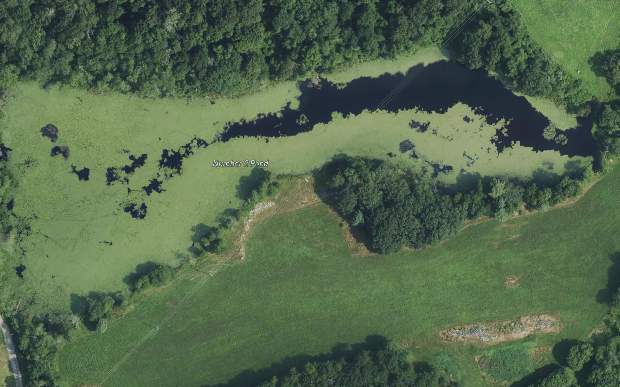 Number Two Pond
