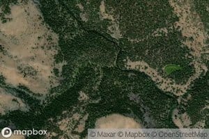 Miller Flat Creek