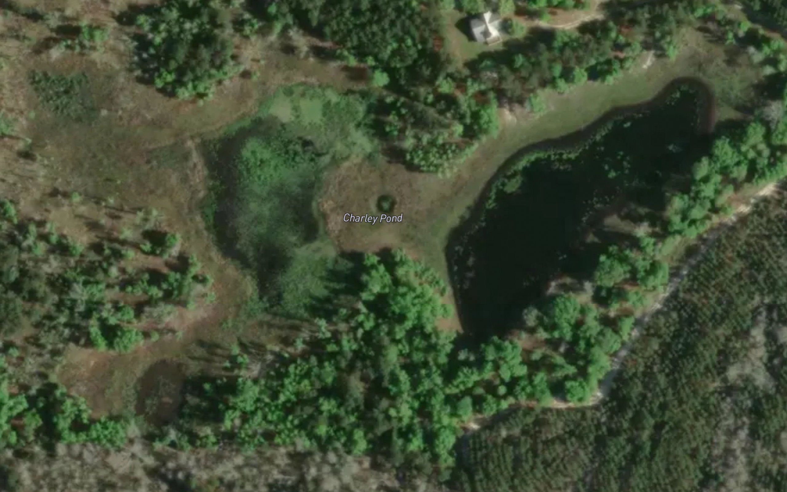 Charley Pond