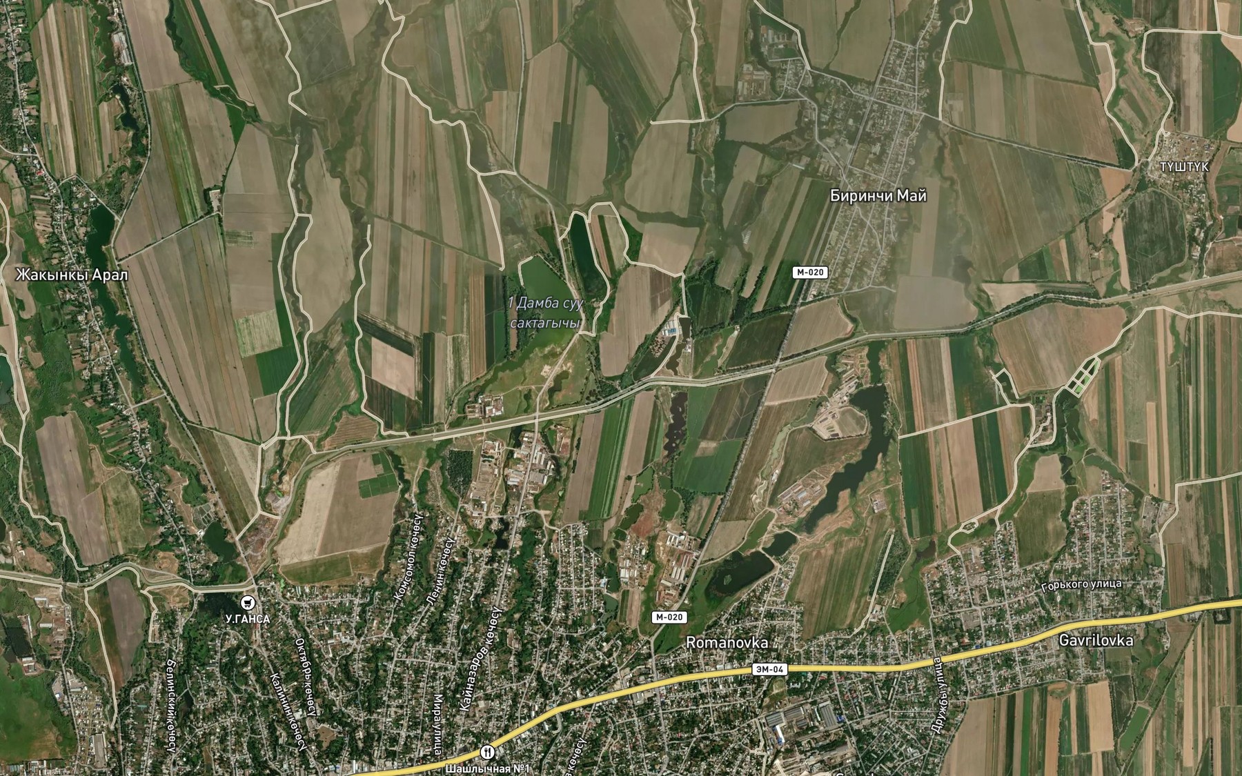 Satellite map of the Aryk Dzhantay