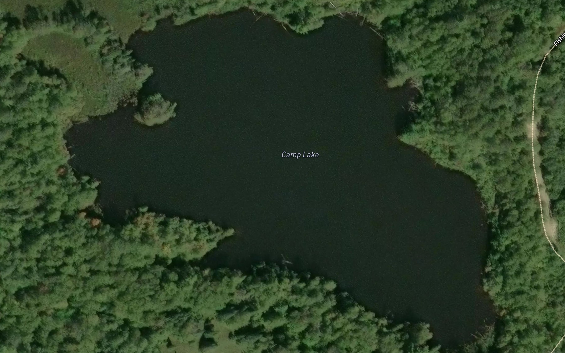 Satellite map of the Camp Lake