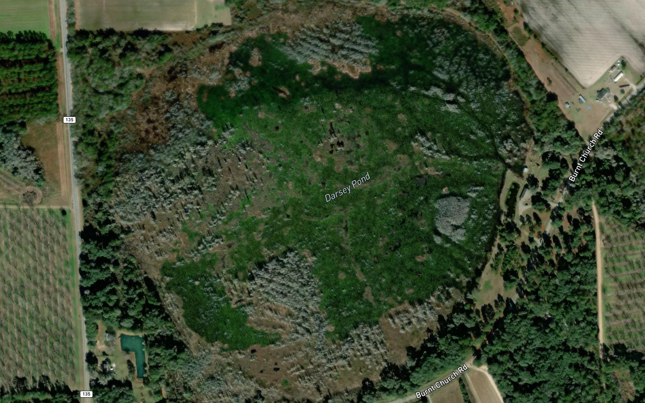 Darsey Pond
