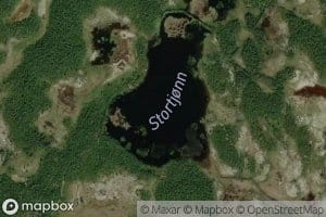 Stortjorn