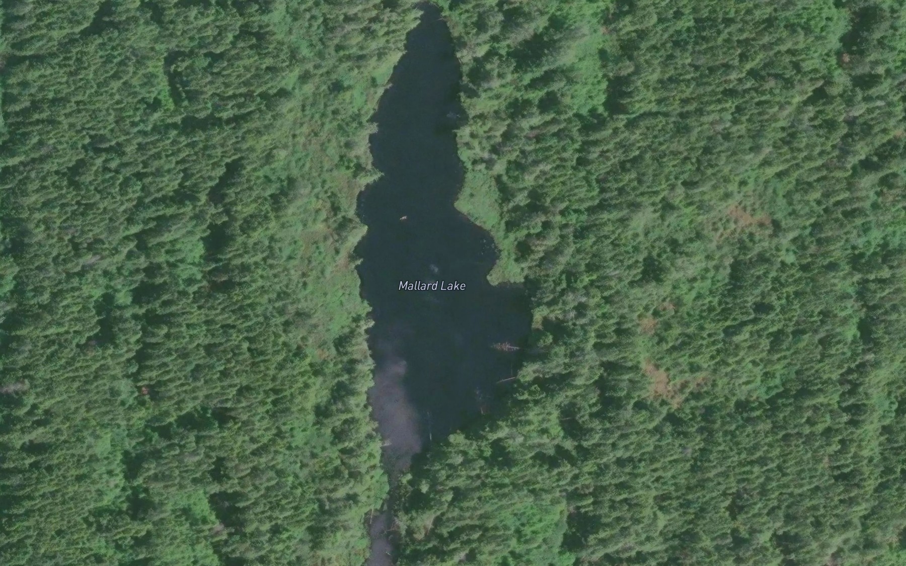 Satellite map of the Mallard Lake