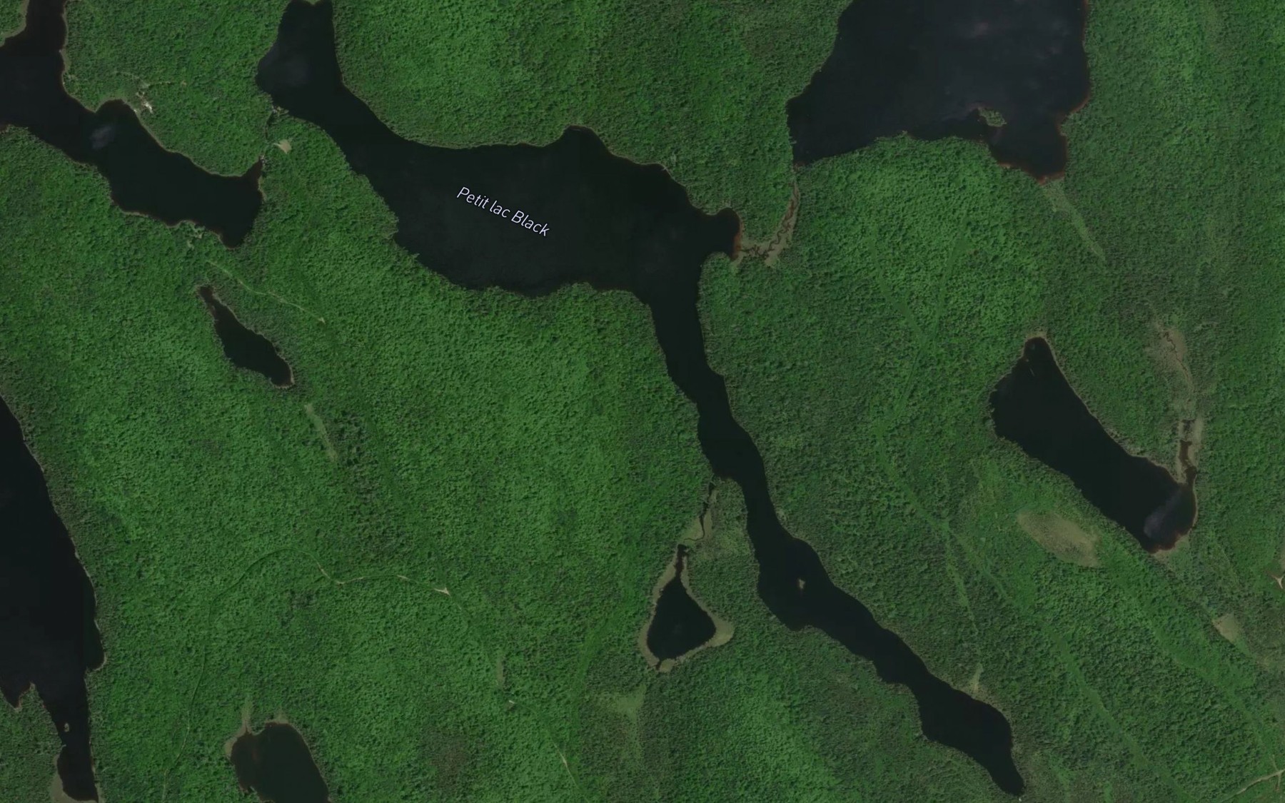 Satellite map of the Petit lac Black