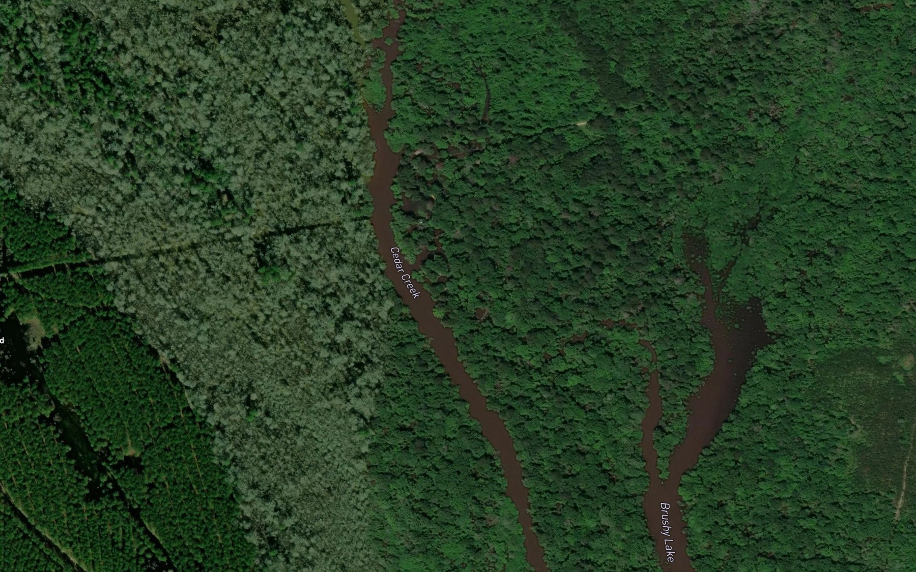Satellite map of the Ryan Lake