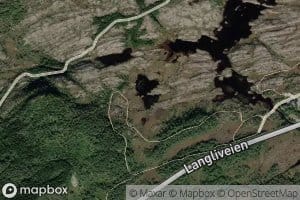 Kattjornen
