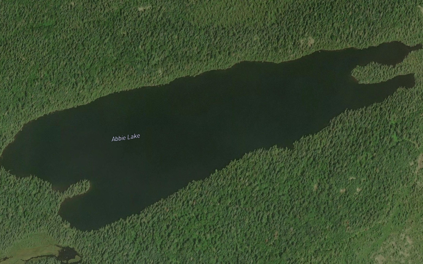 Satellite map of the Abbie Lake