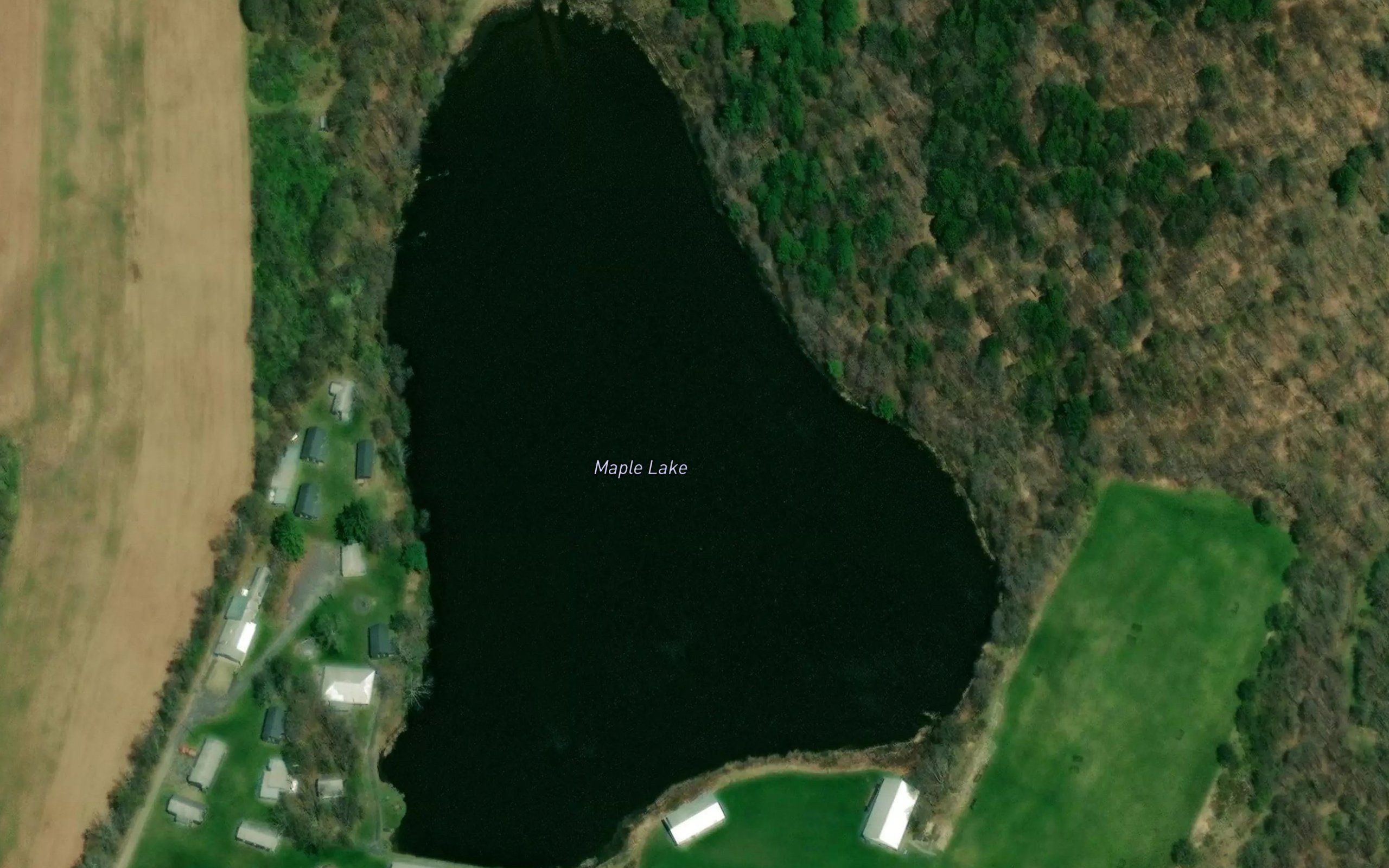 Maple Lake