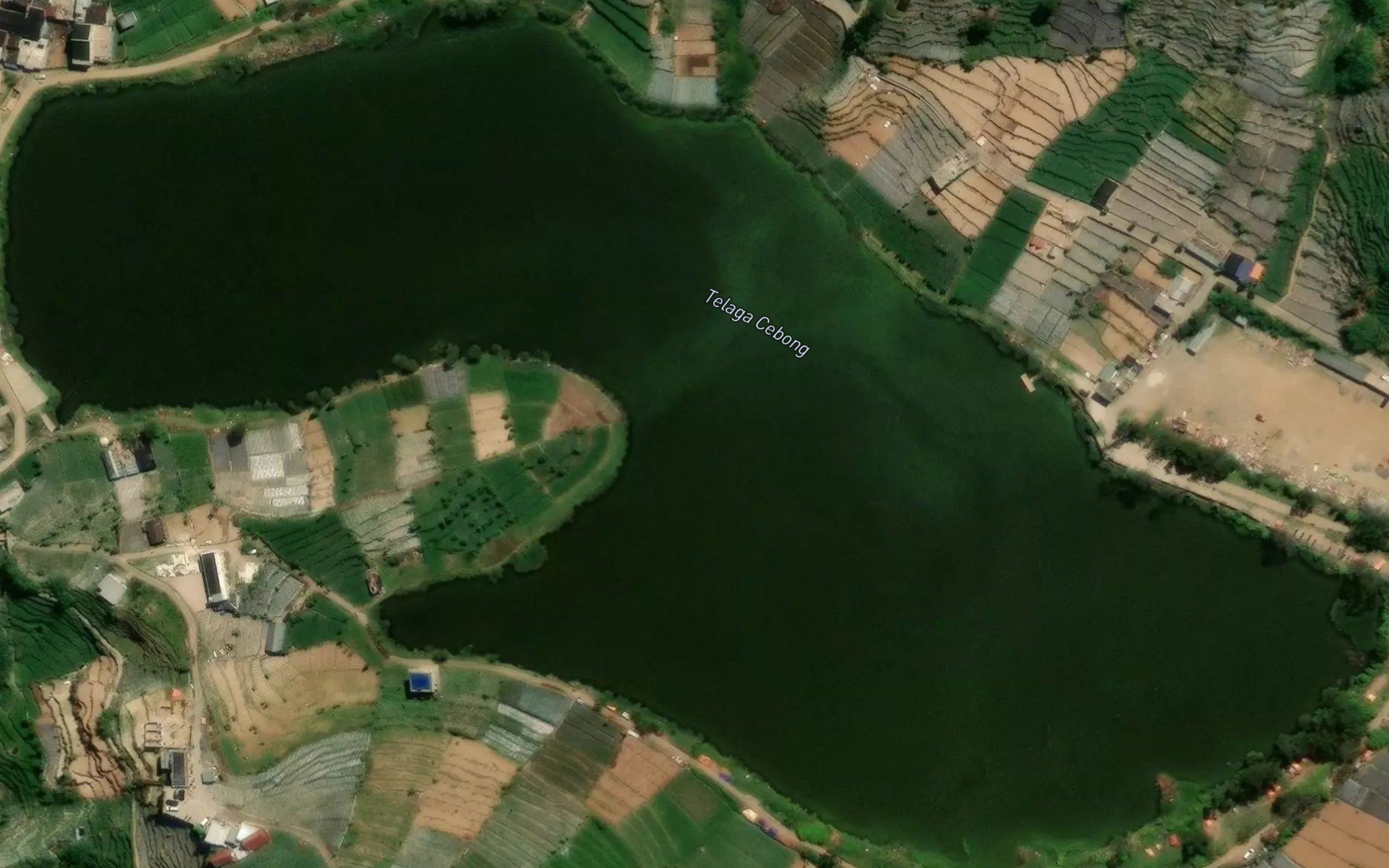 Telaga Cebong