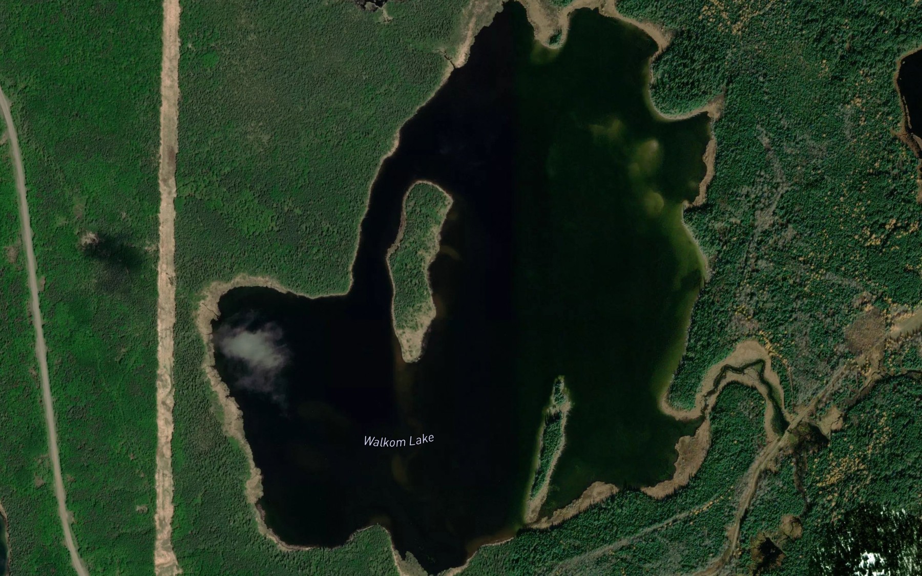 Satellite map of the Walkom Lake