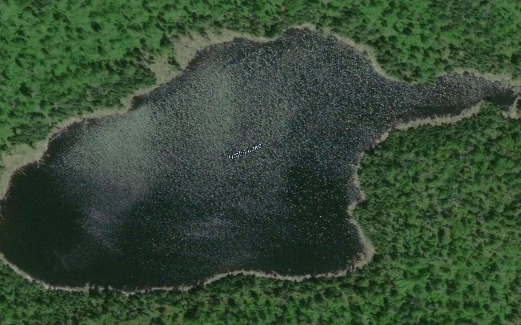 Satellite map of the Umba Lake