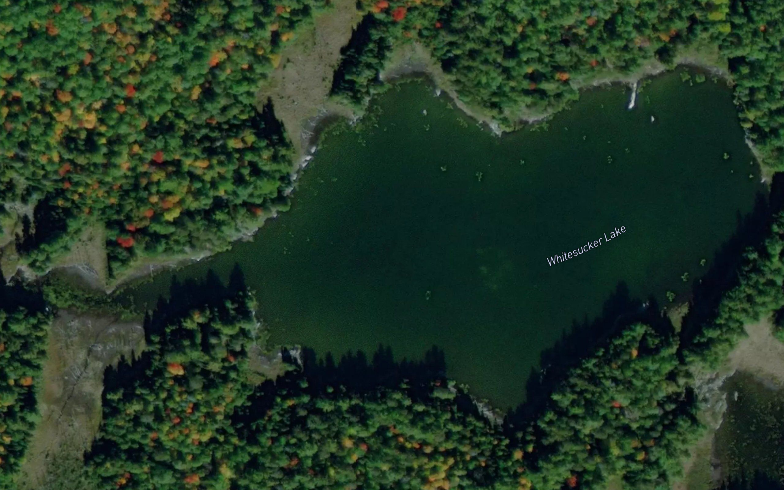 Whitesucker Lake