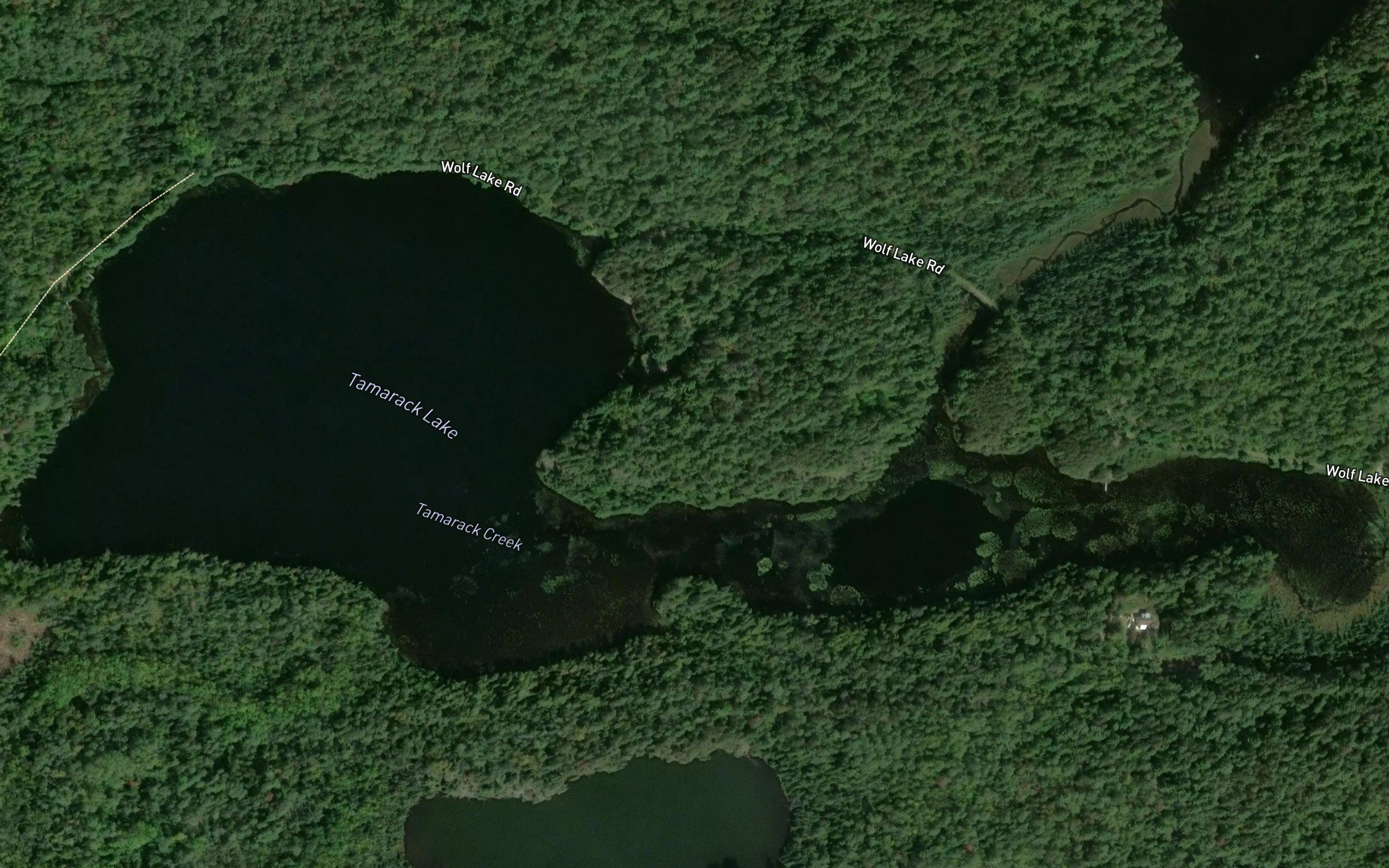 Tamarack Lake