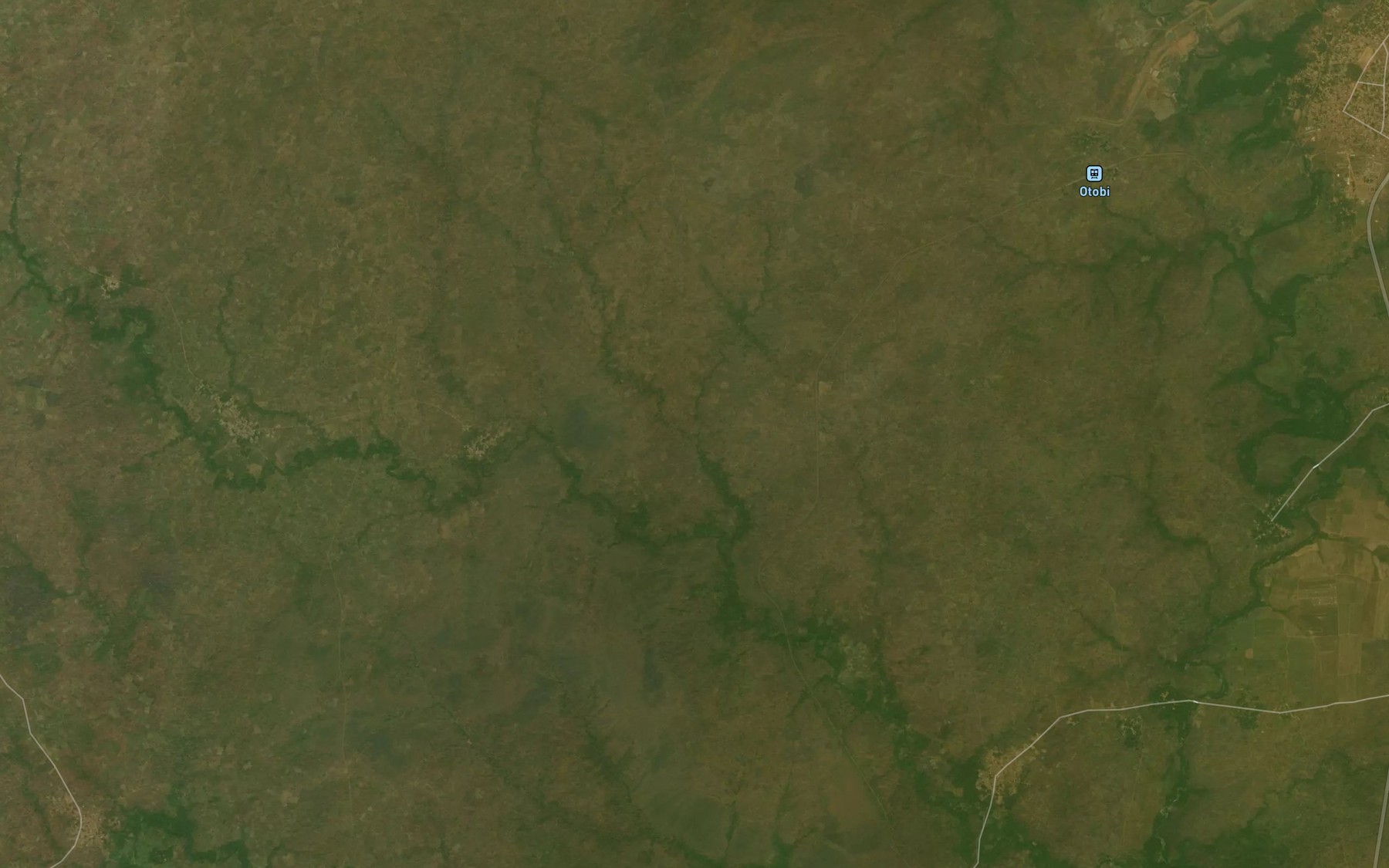 Satellite map of the River Odichi
