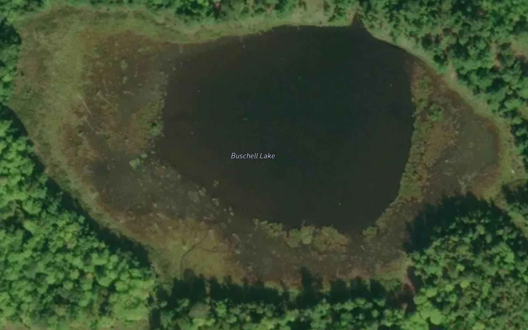 Satellite map of the Buschell Lake