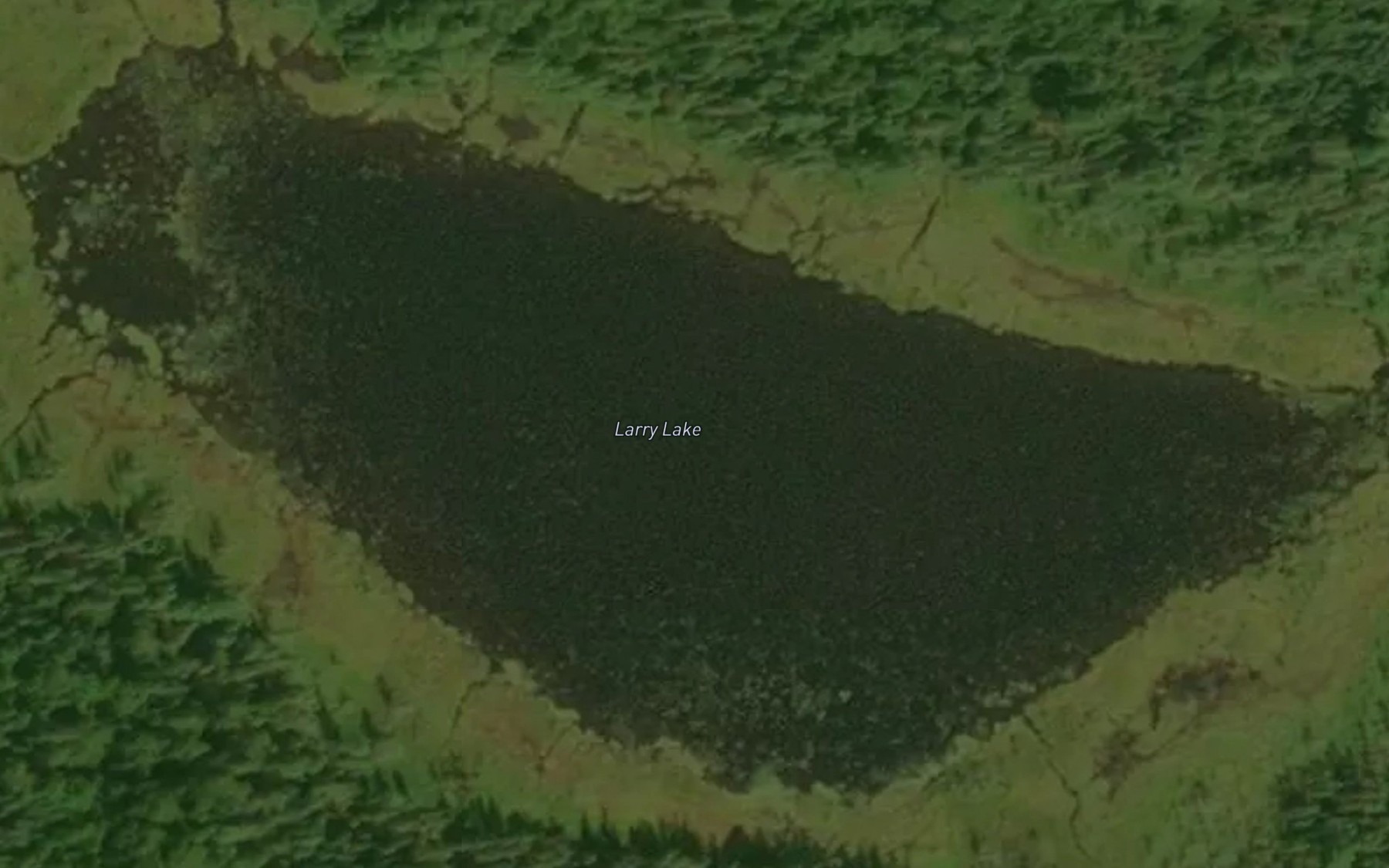 Satellite map of the Larry Lake