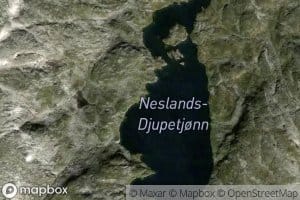 Neslands Djupetjonn