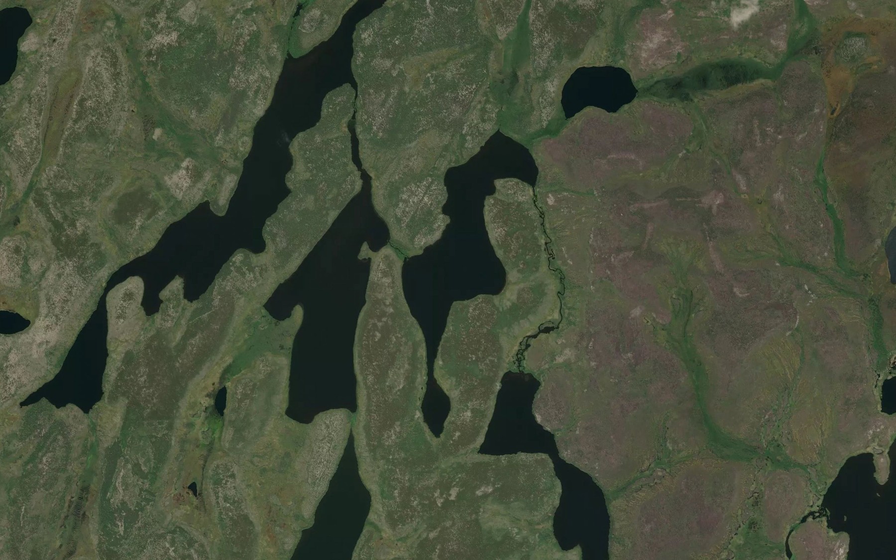 Satellite map of the Tompkins Lake