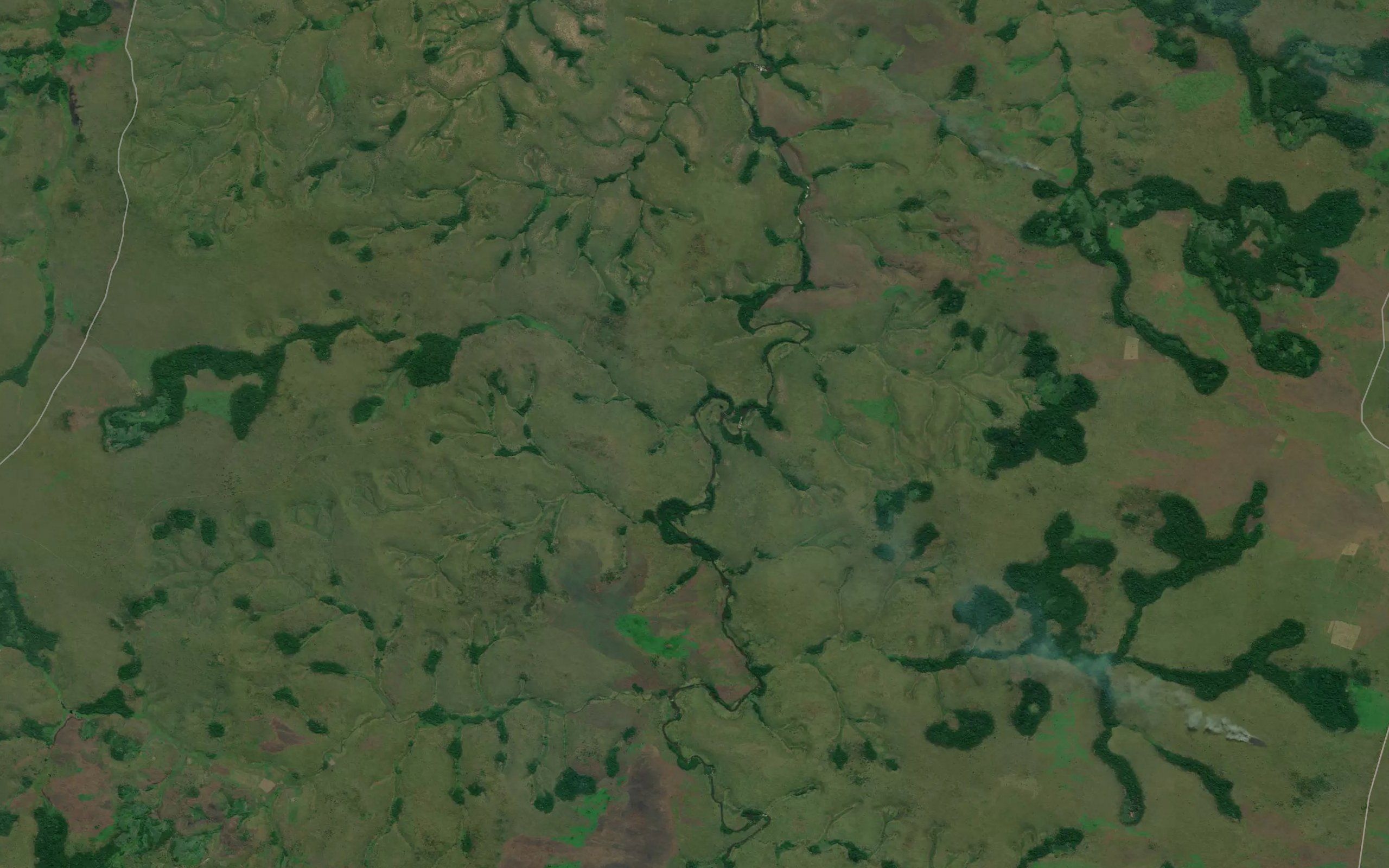 Mbua