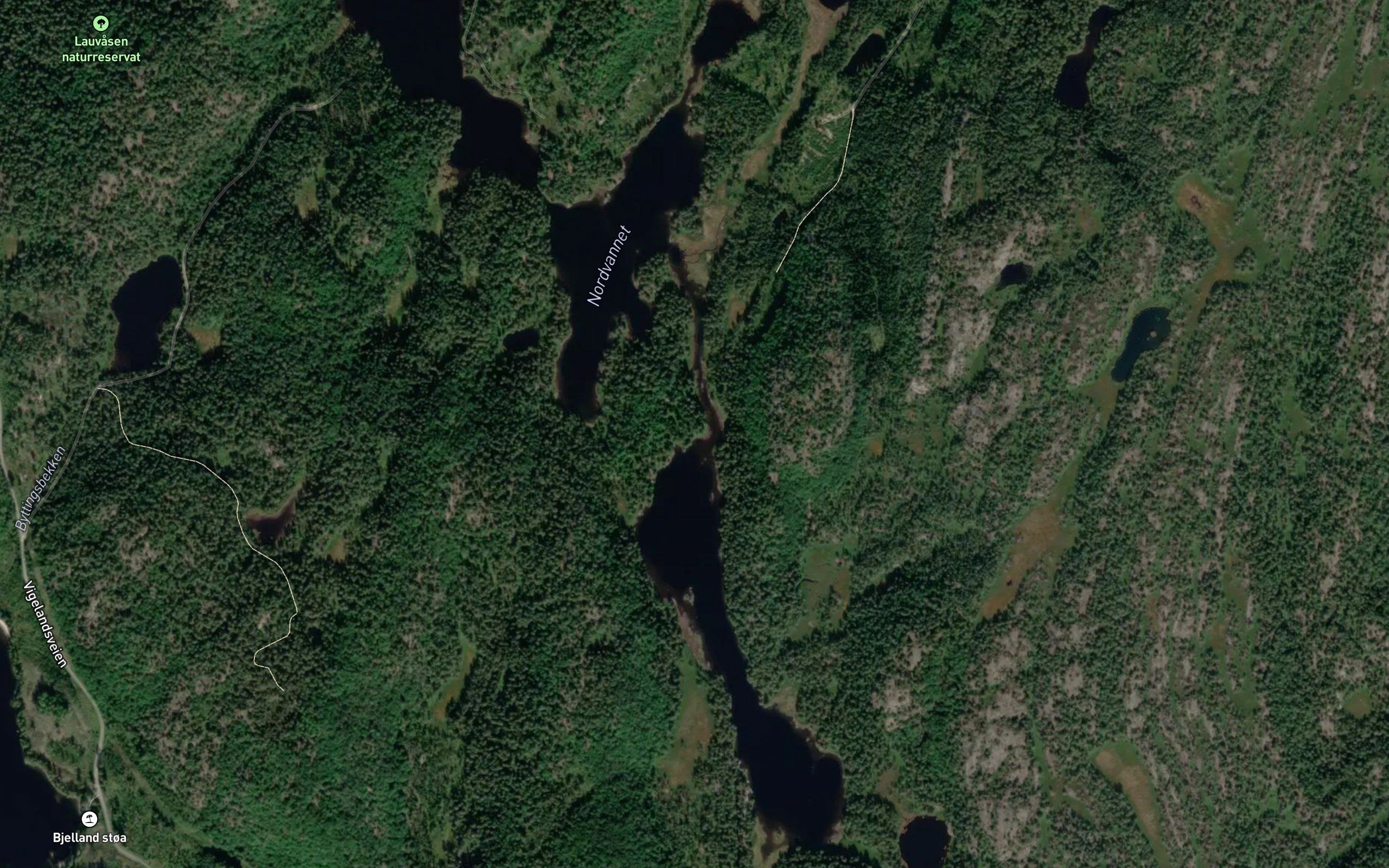 Nordvann
