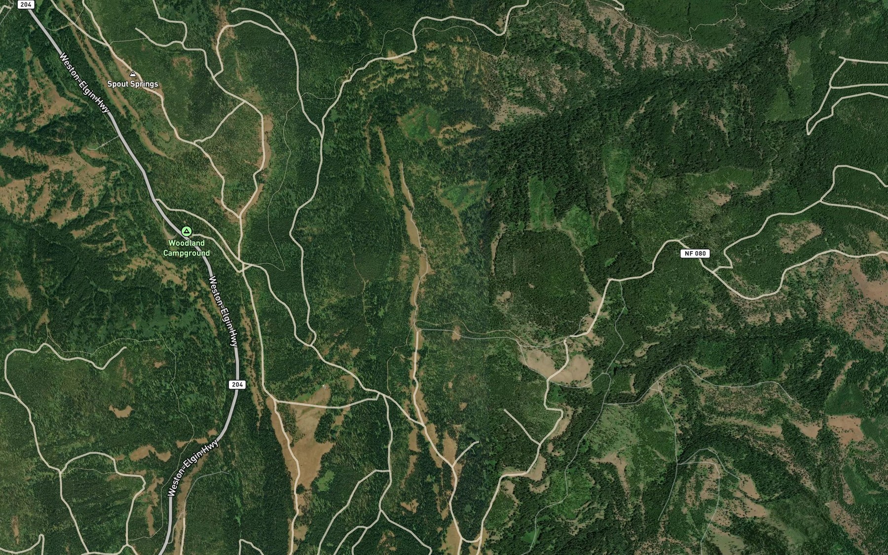 Satellite map of the Alpine Spring