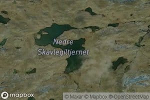 Skavlegiltjernet