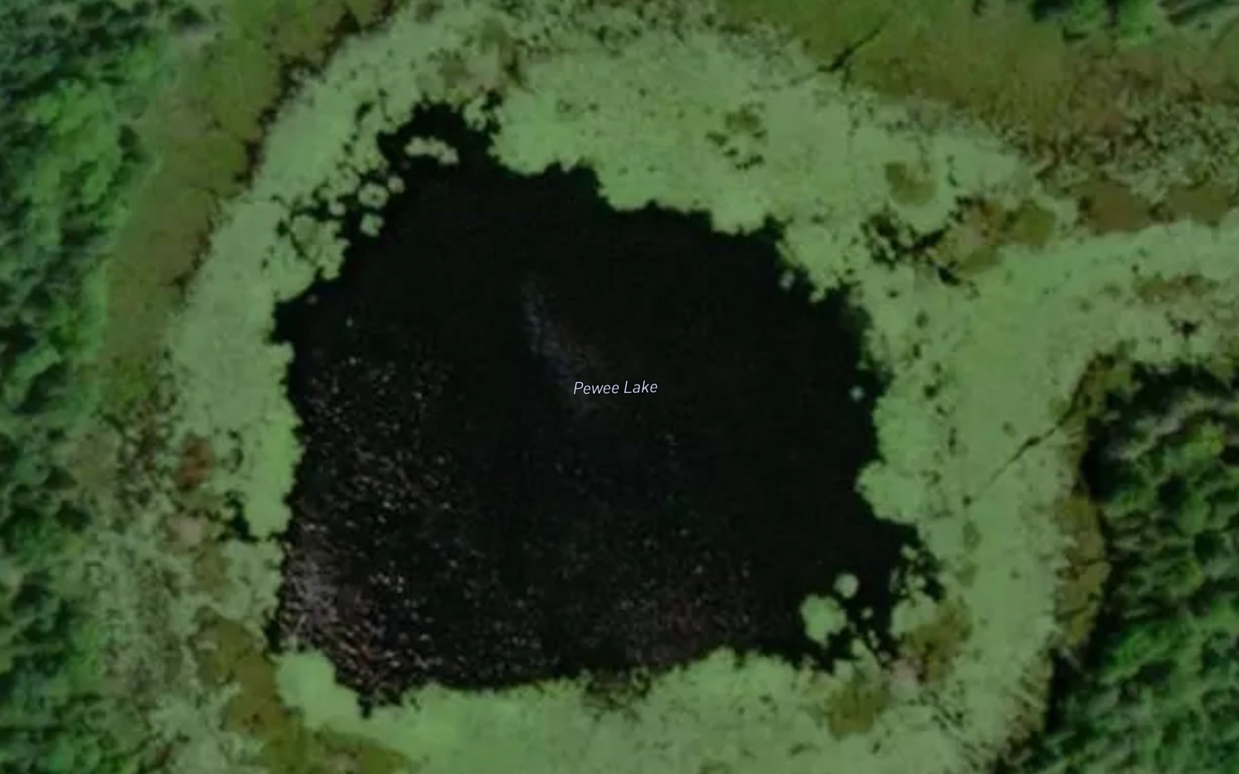 Satellite map of the Pewee Lake
