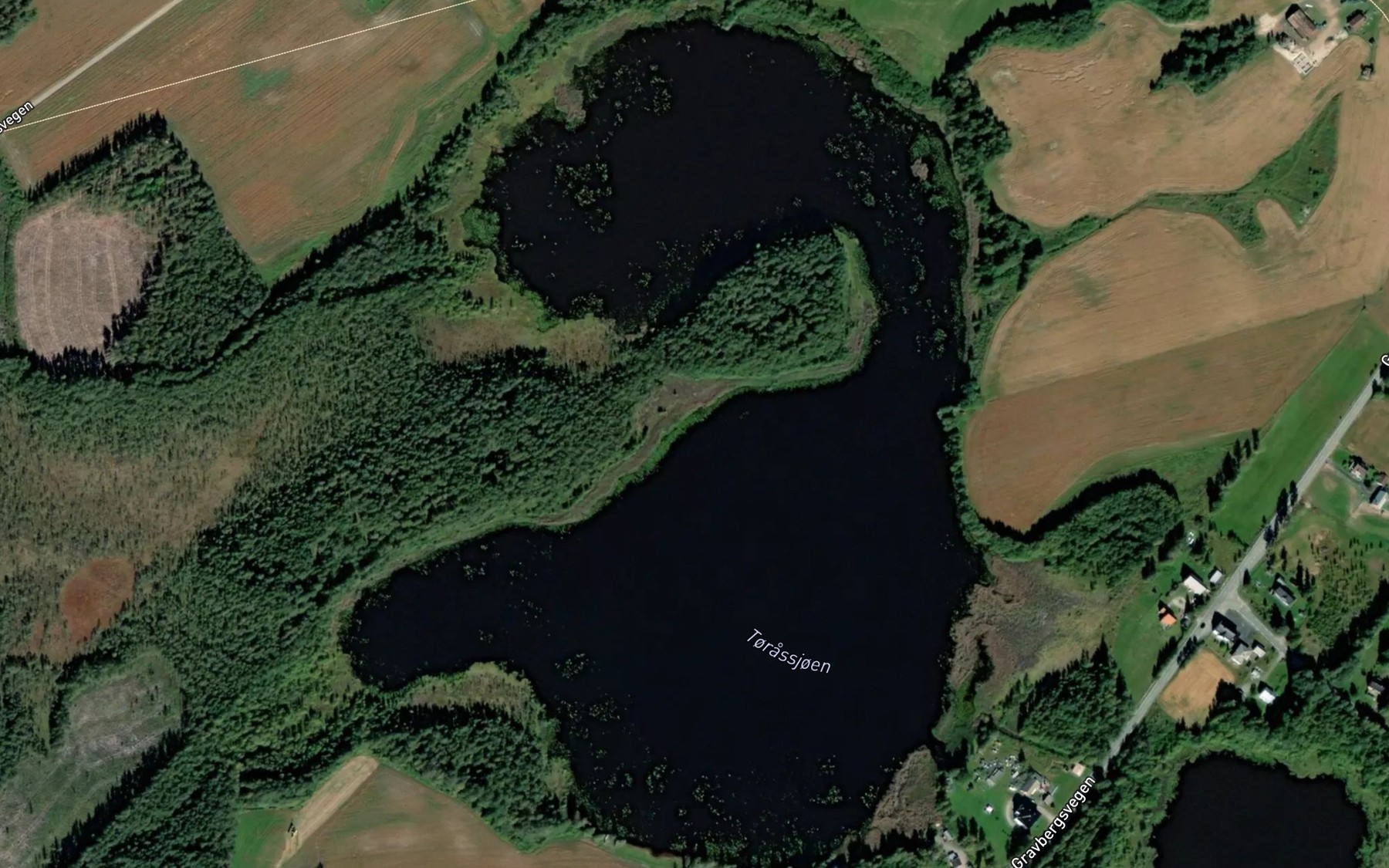 Satellite map of the Torrassjoen