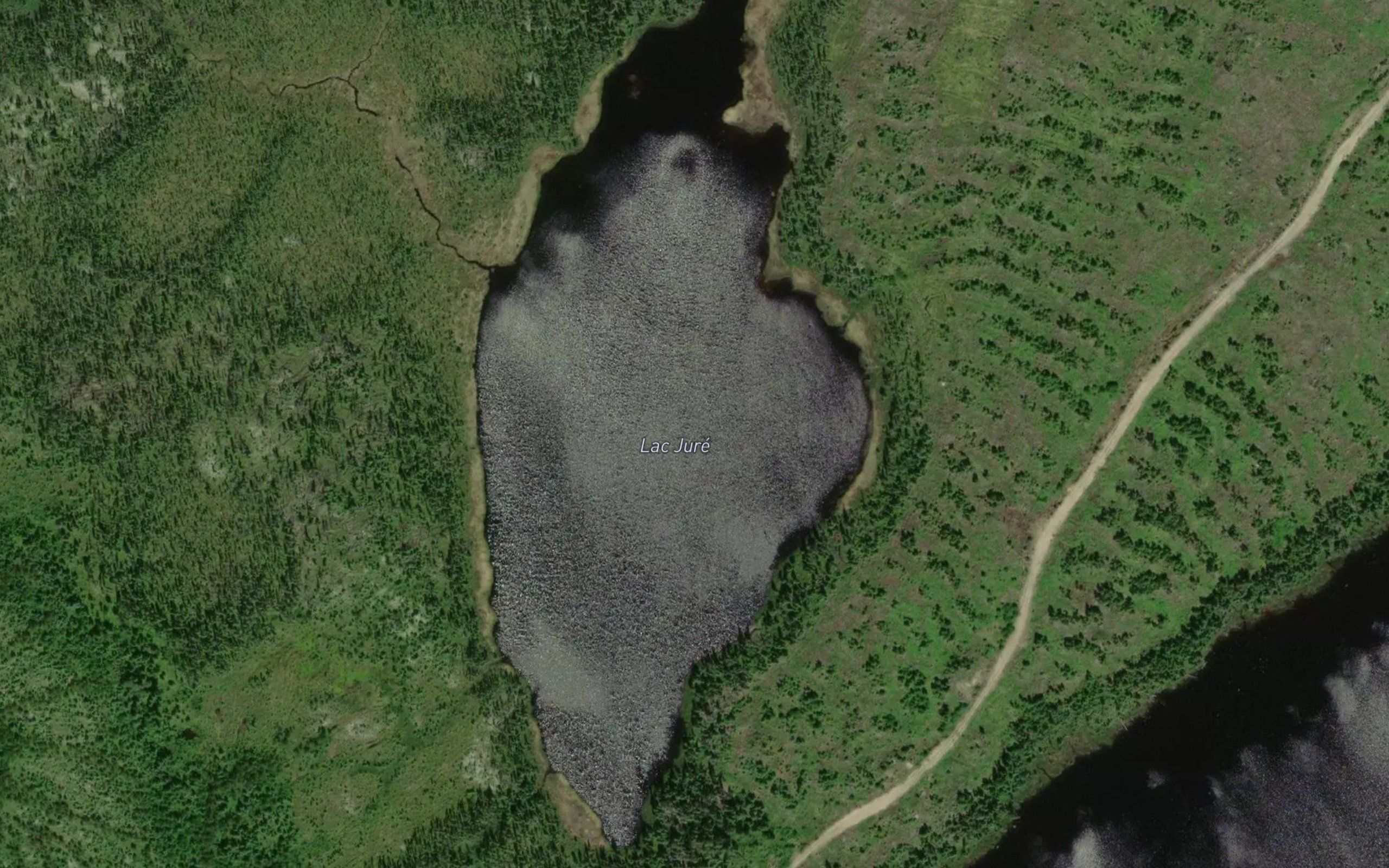 Lac Jure