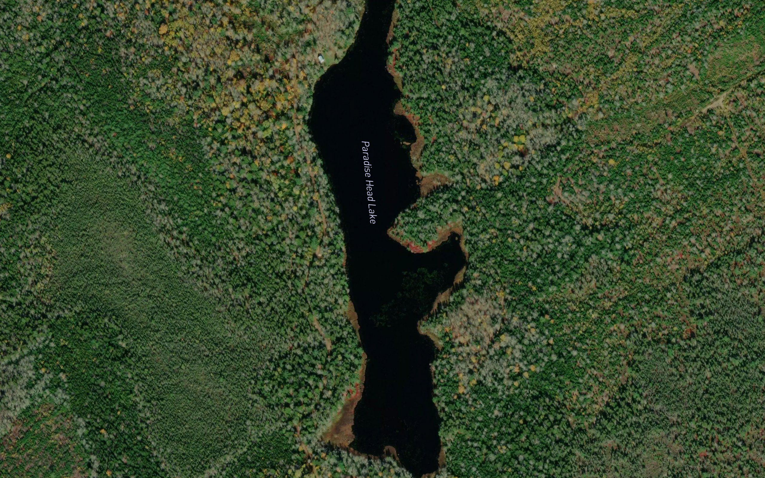 Paradise Head Lake