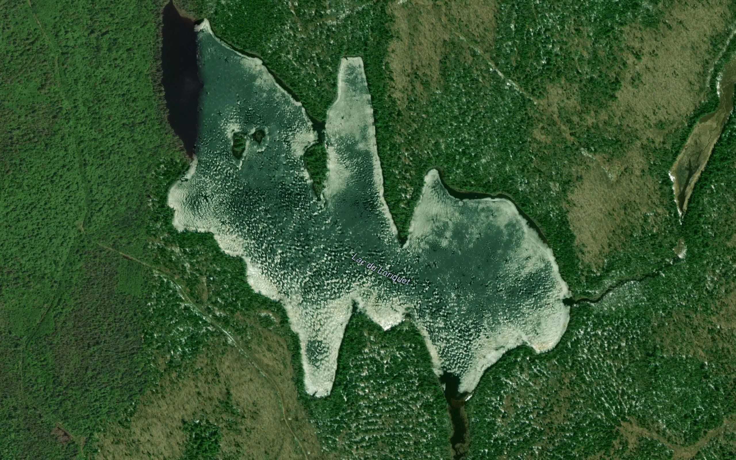 Lac du Loriquet