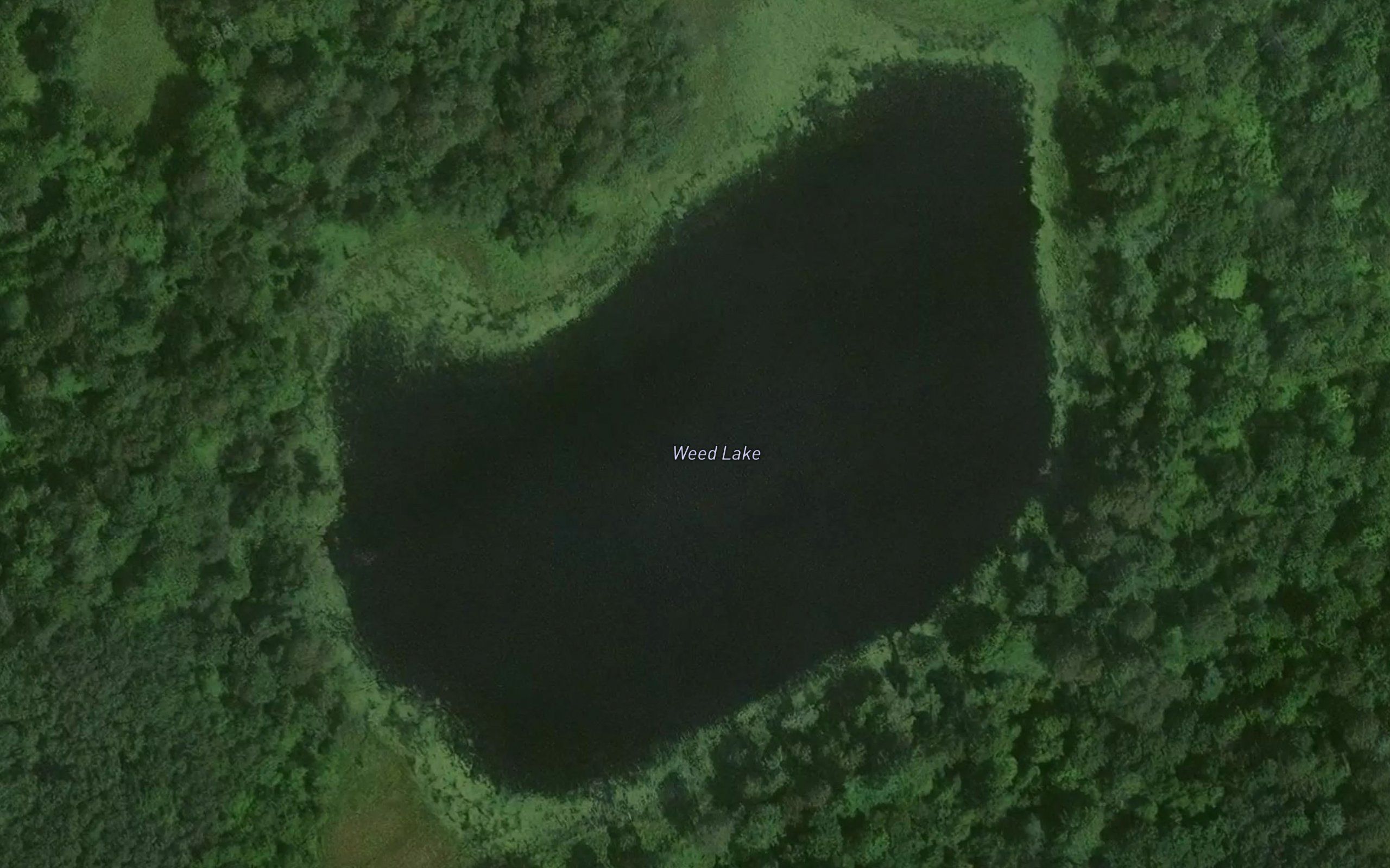 Weed Lake