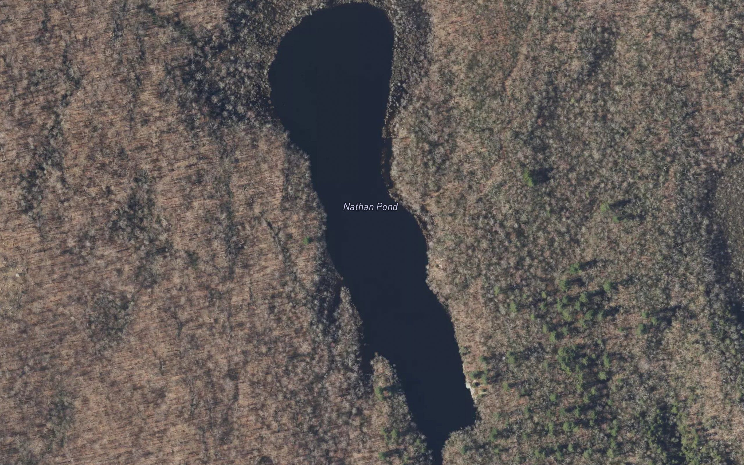 Nathan Pond