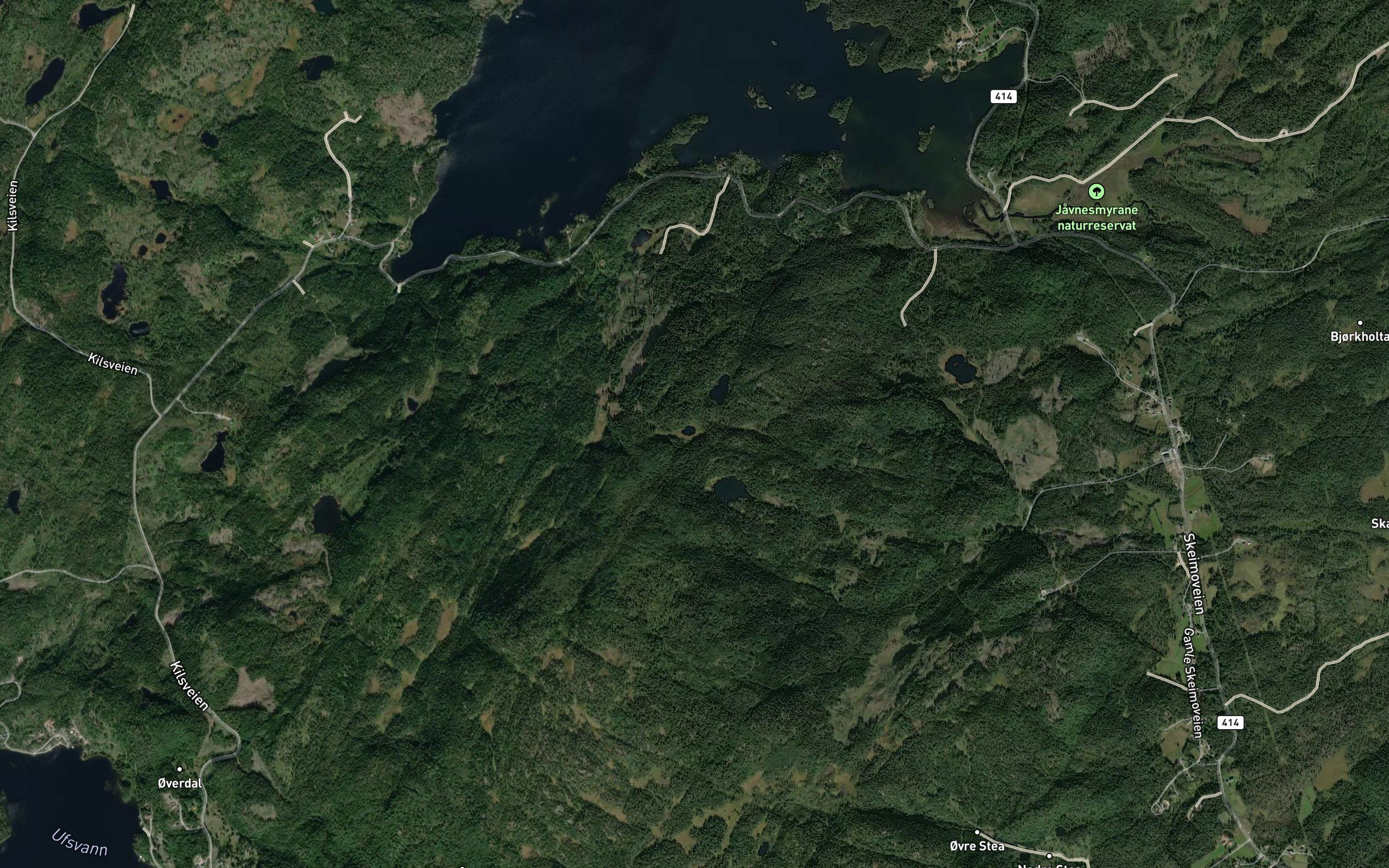 Lontjorn