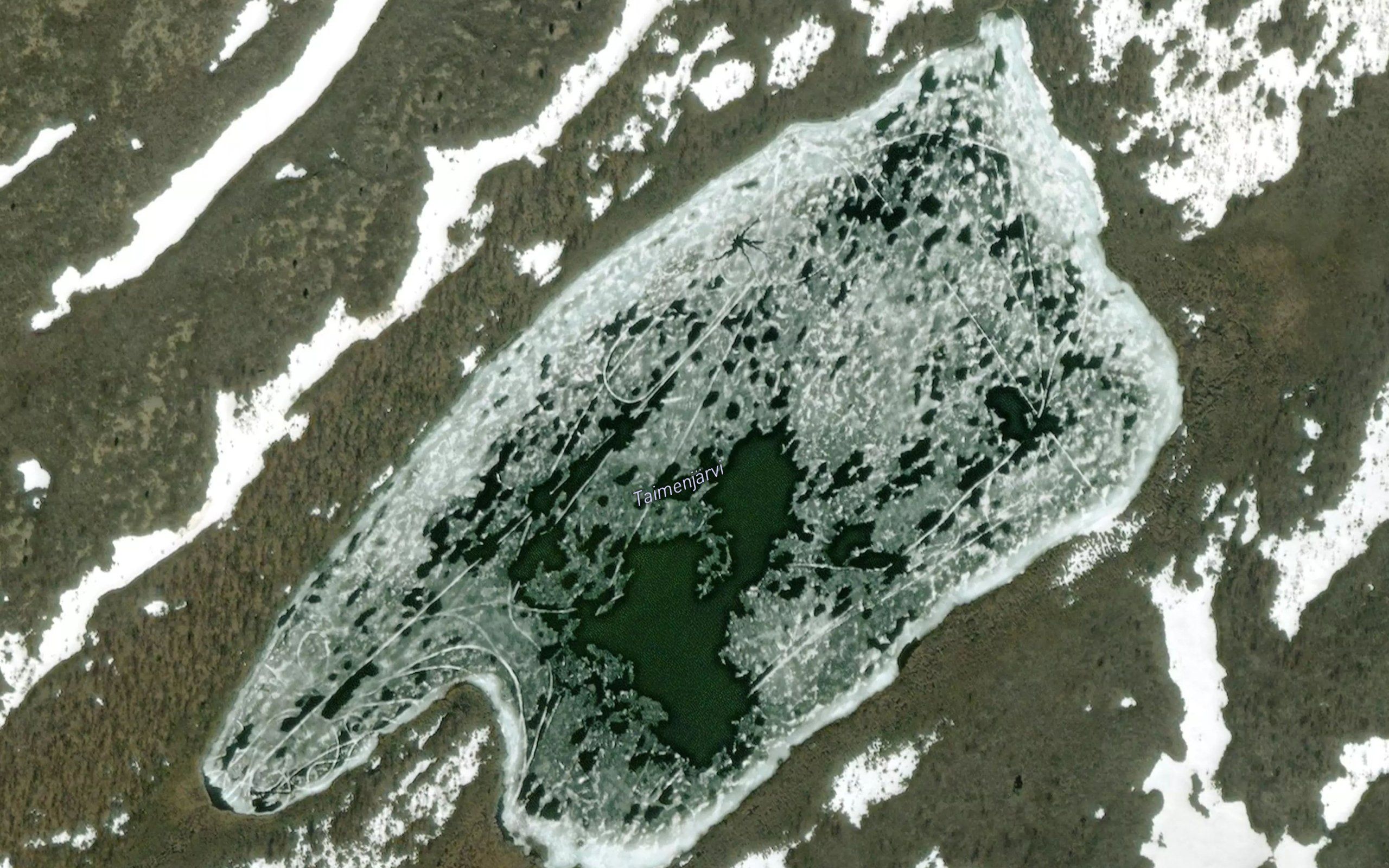 Taimenjarvi