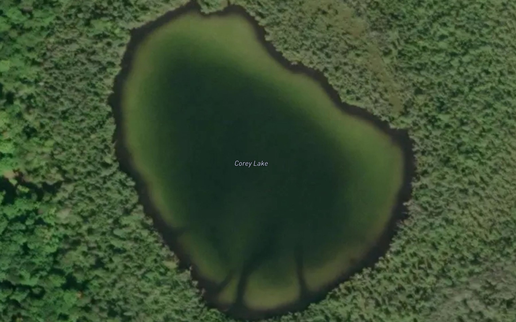 Satellite map of the Corey Lake