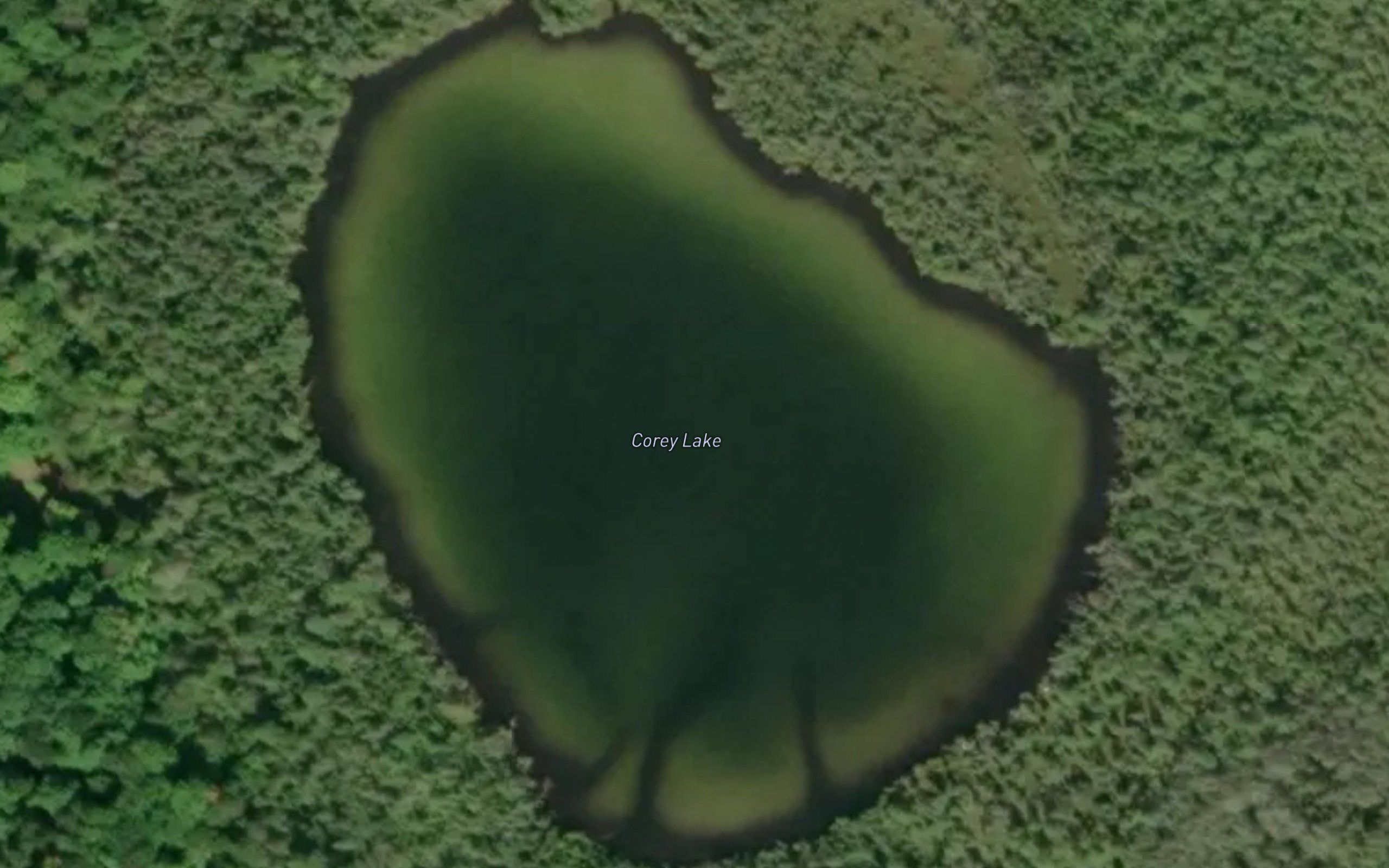 Corey Lake