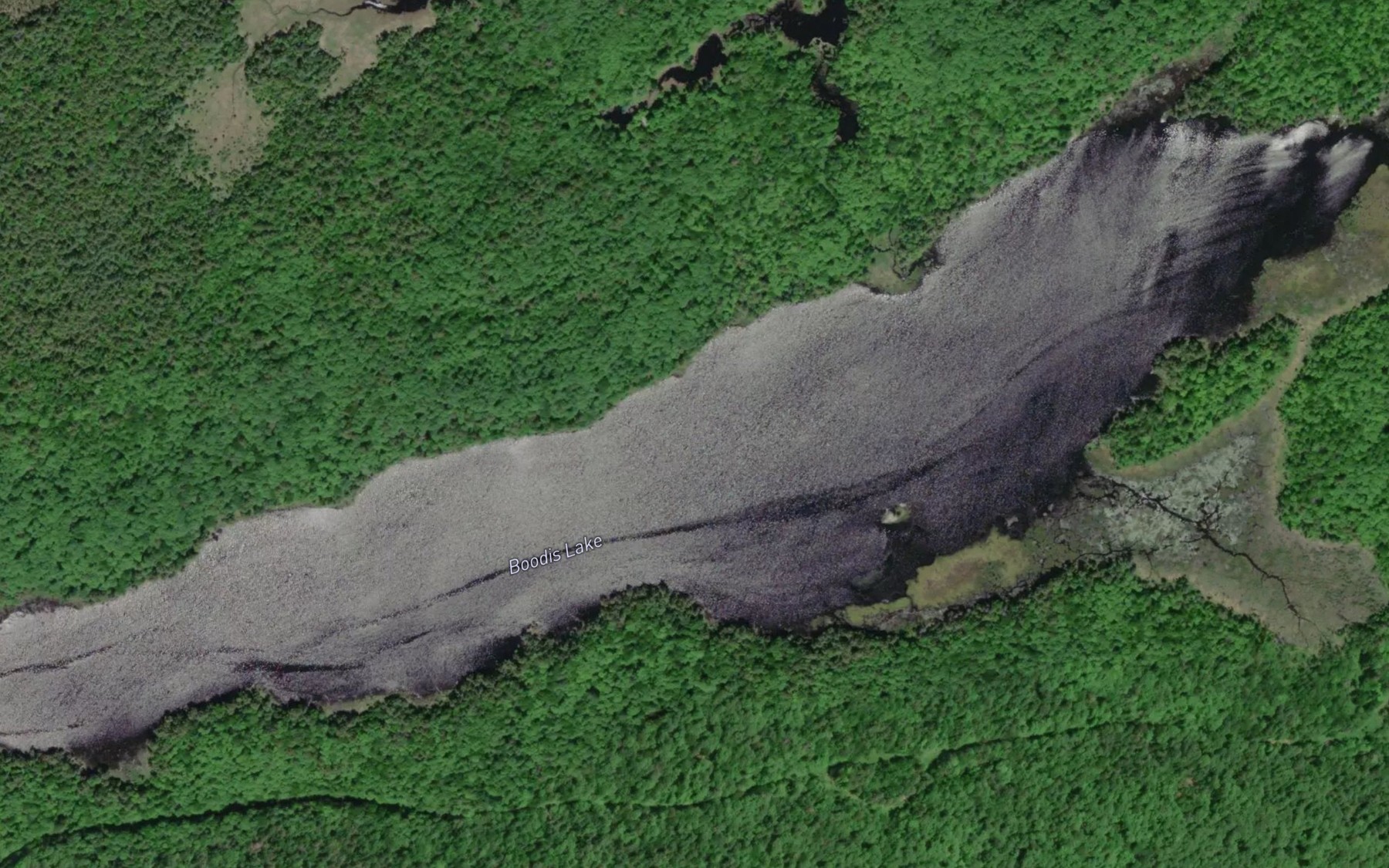 Satellite map of the Boodis Lake