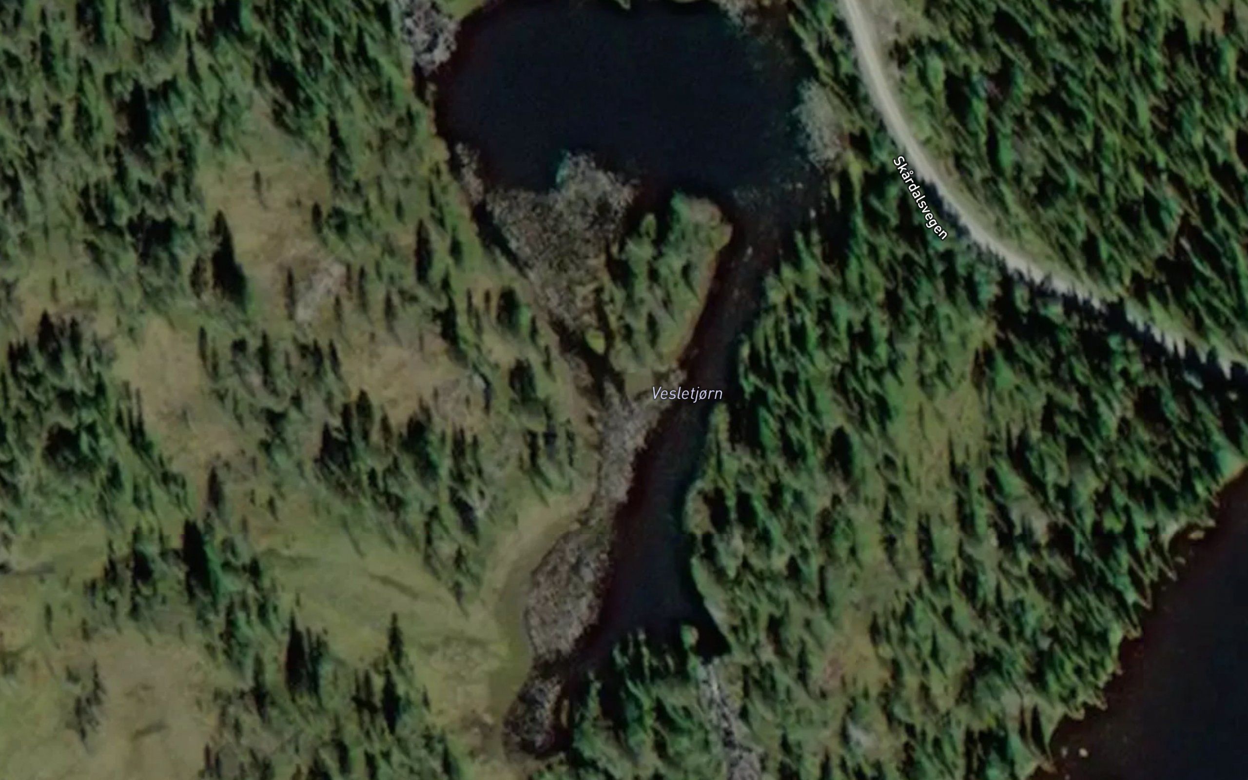 Vesletjorn