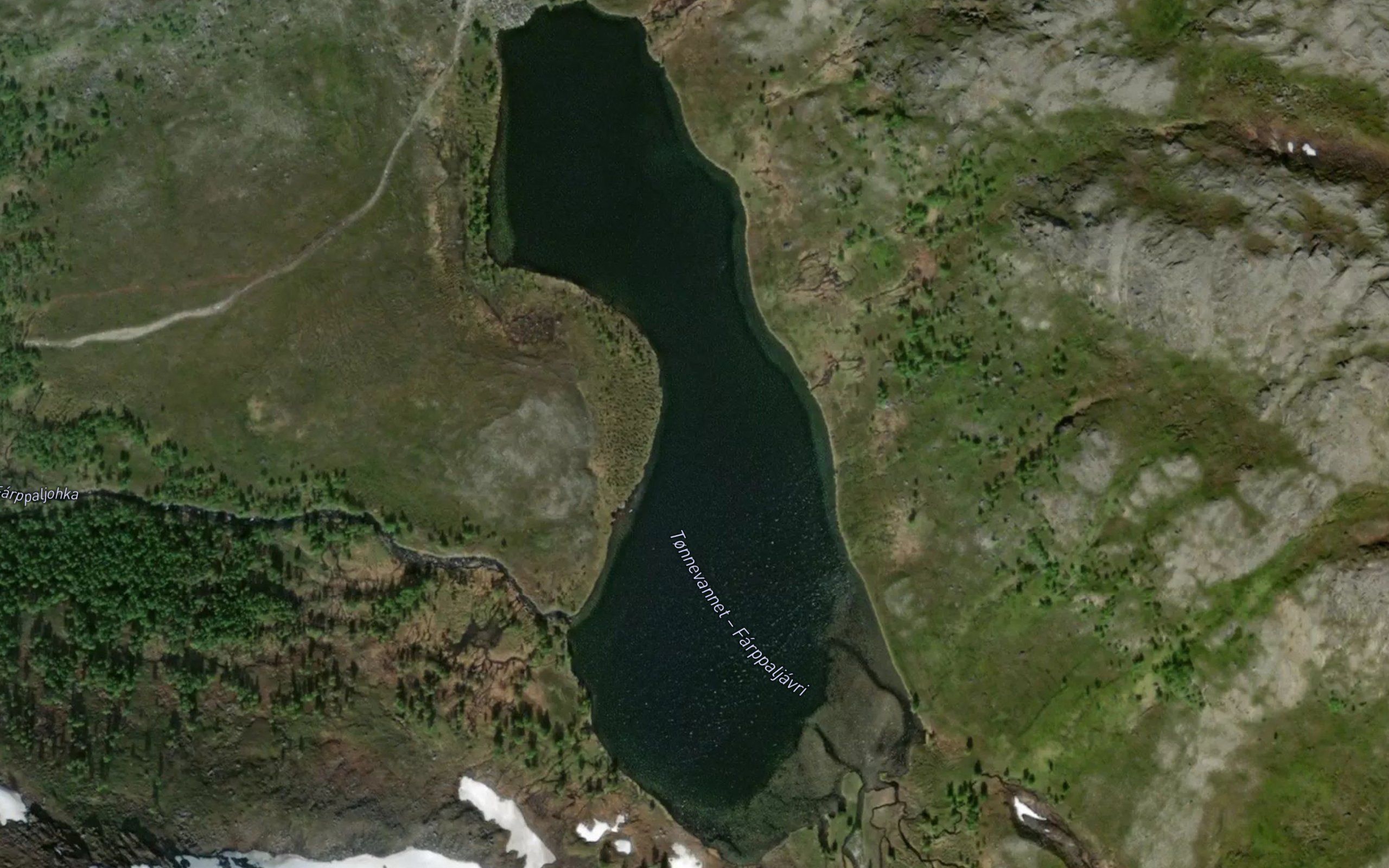 Farppaljavri
