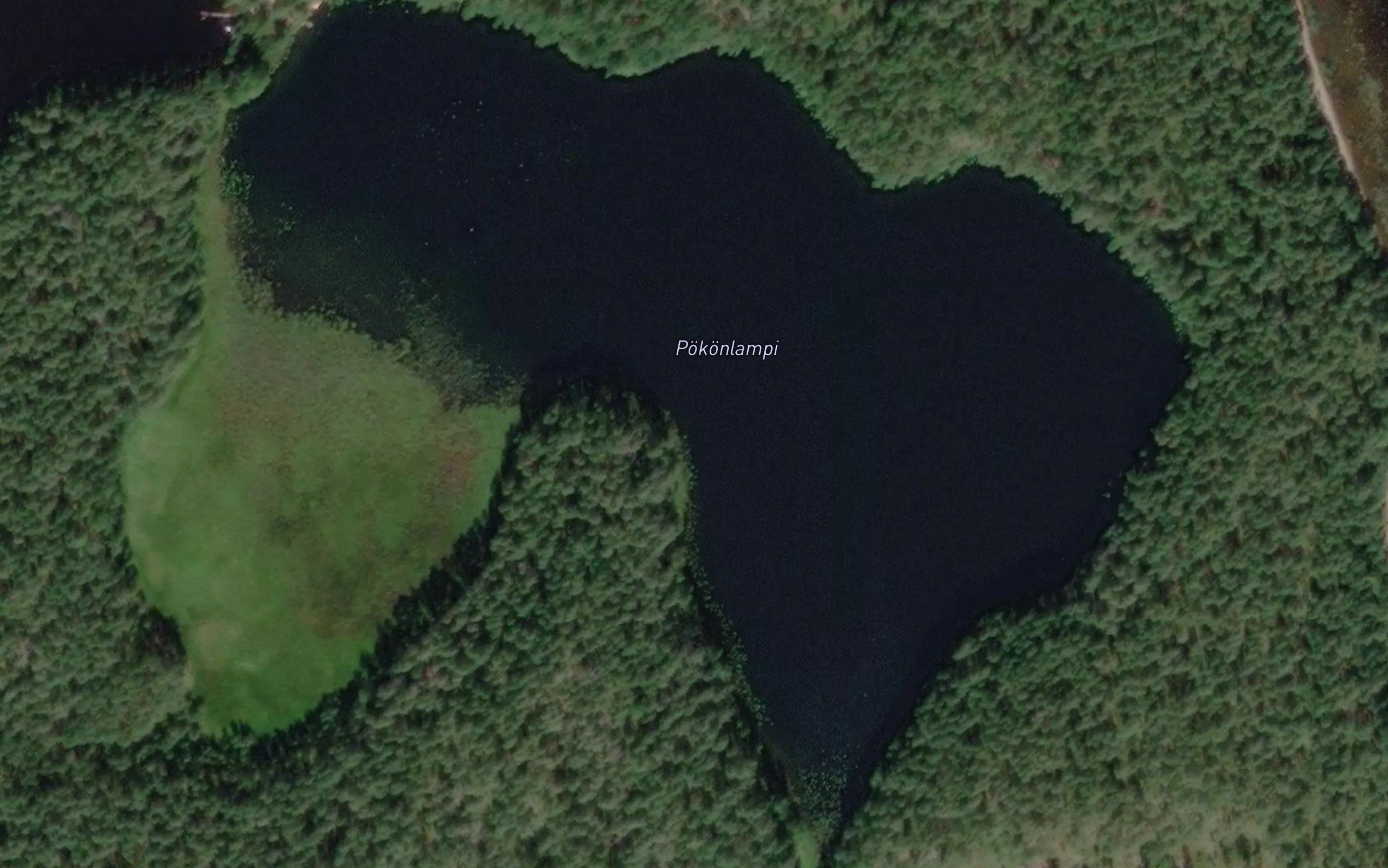 Pokonlampi