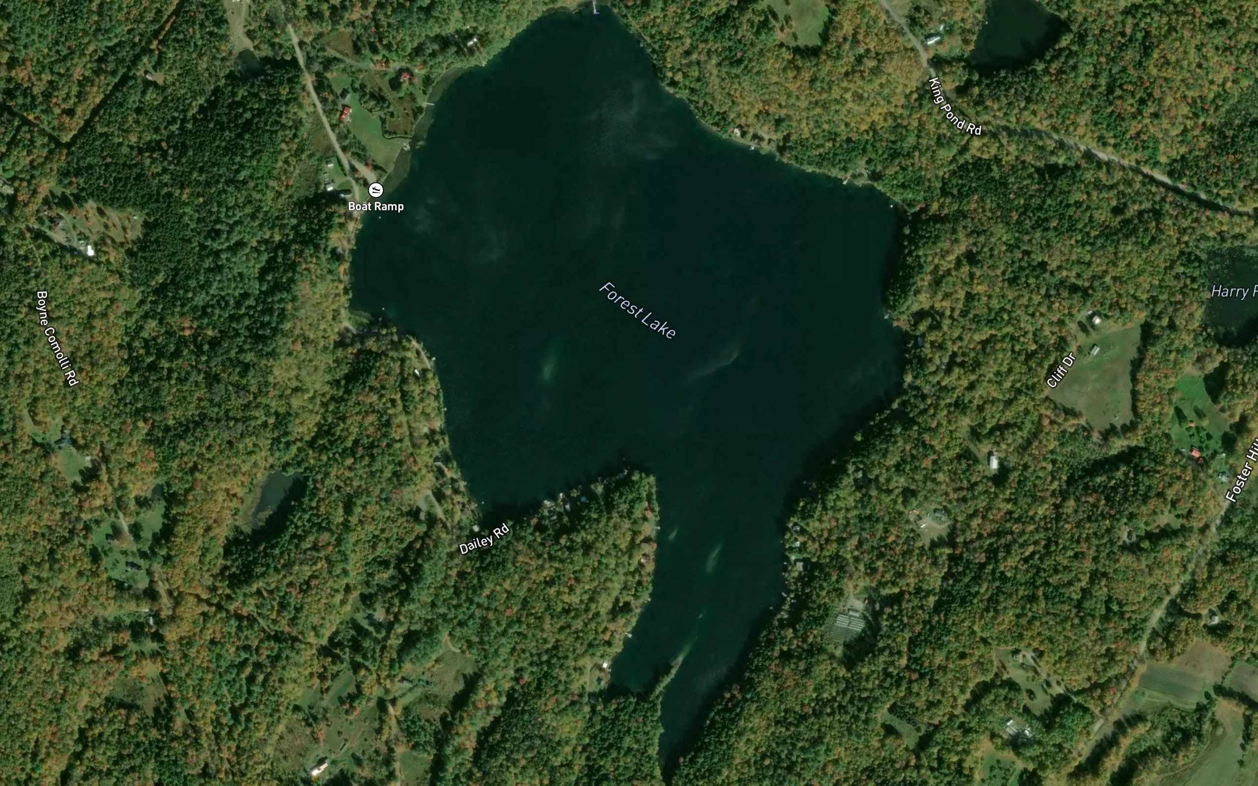 Forest Lake