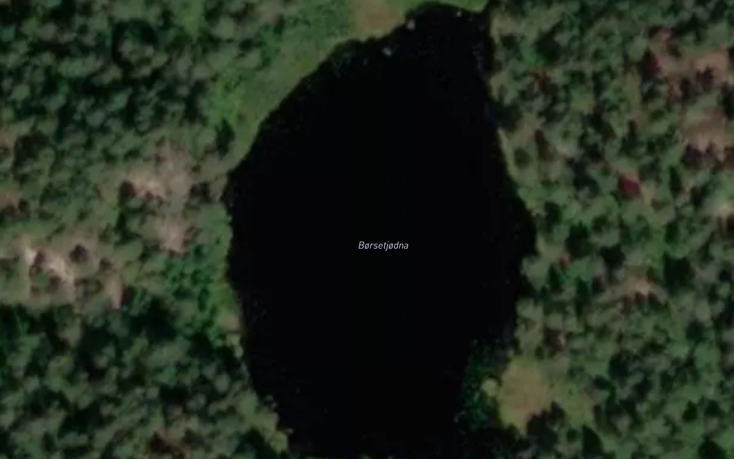 Borsetjodna