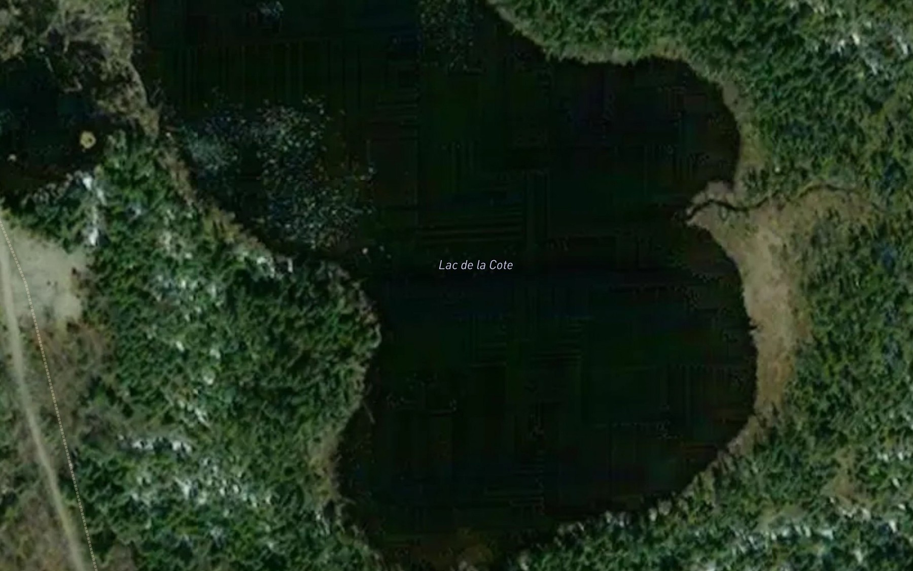 Satellite map of the Lac de la Cote