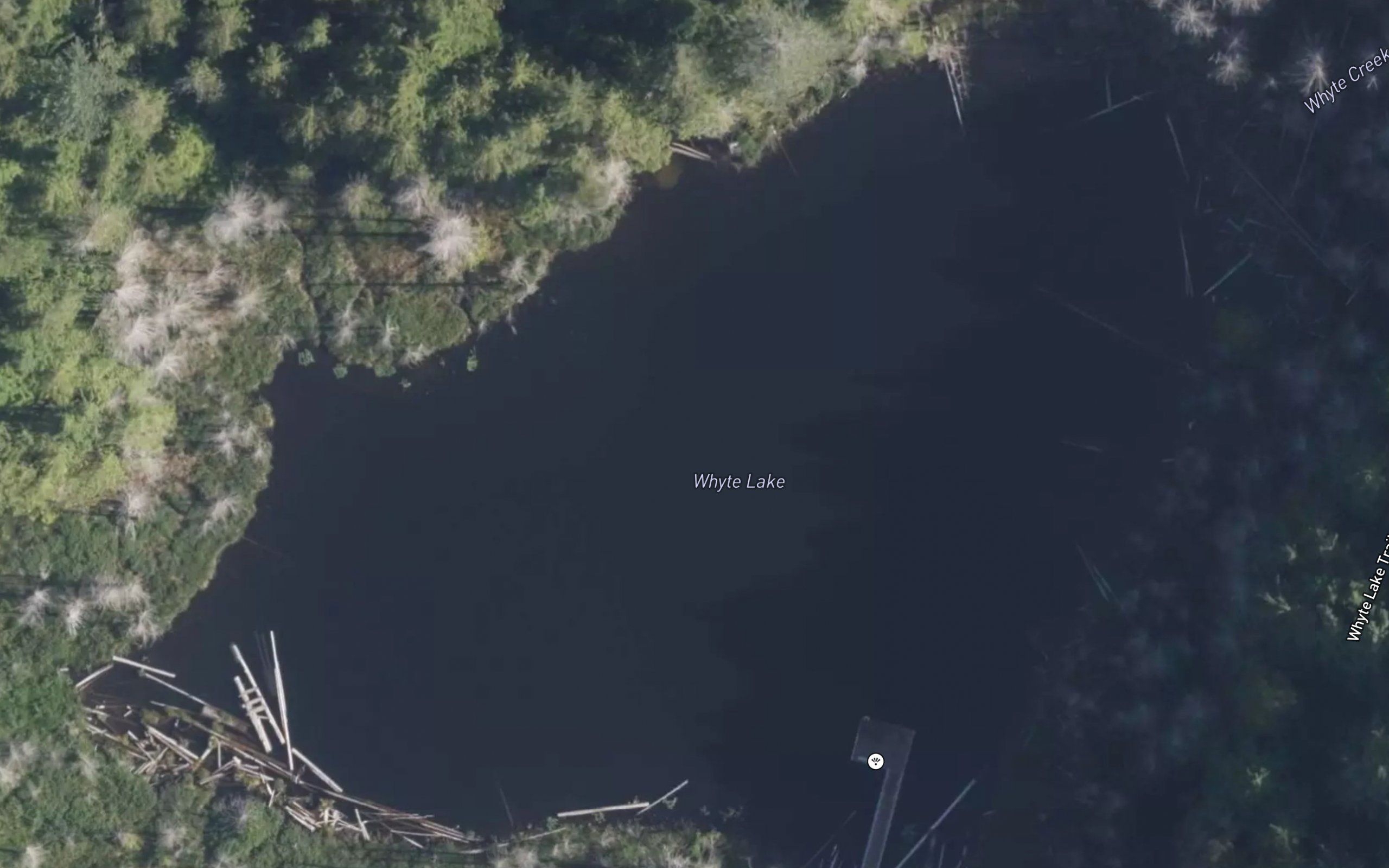 Whyte Lake