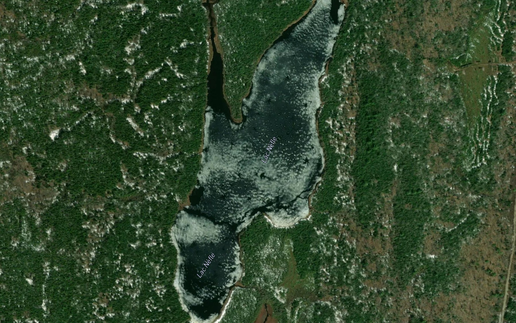 Satellite map of the Lac Nefle