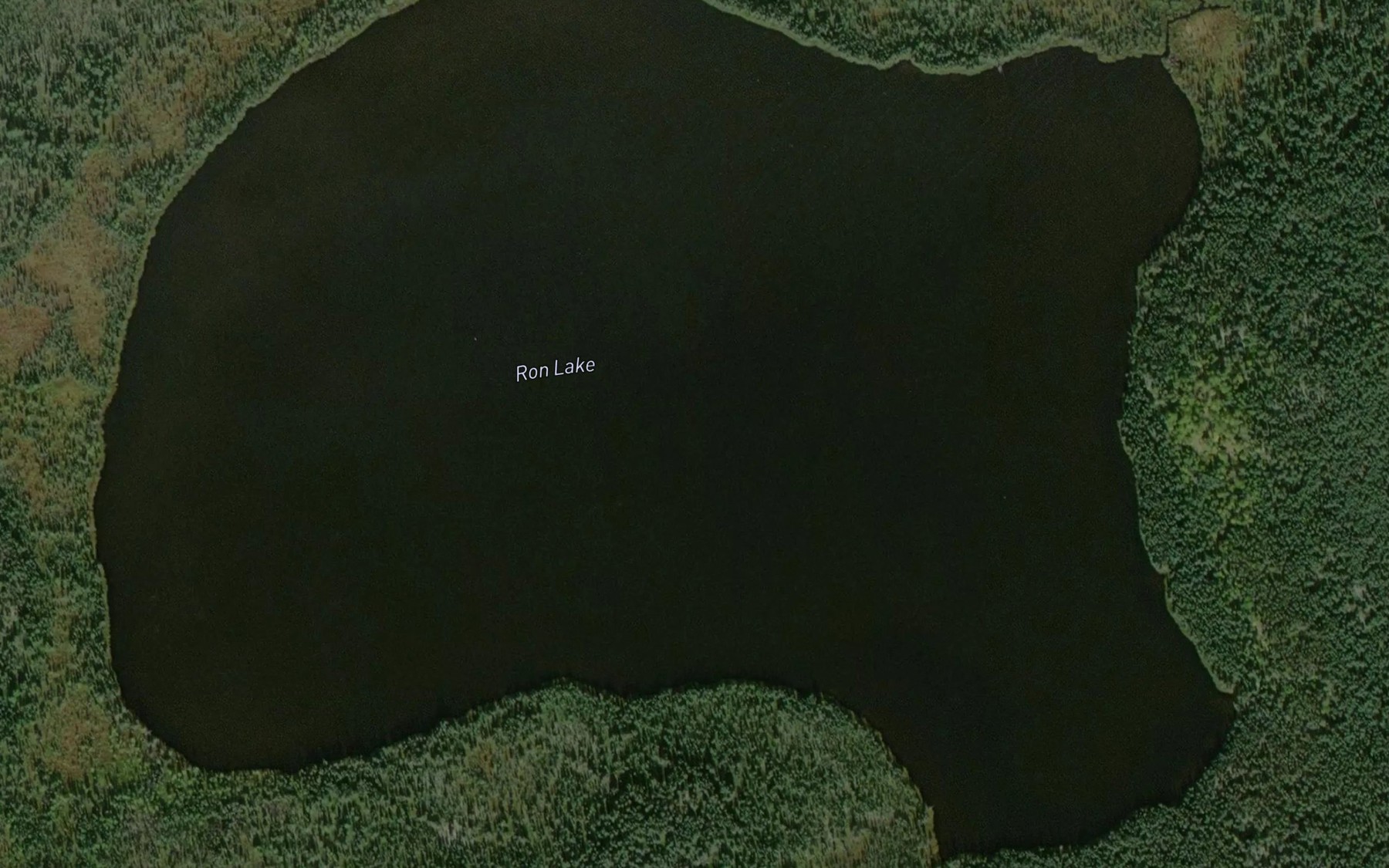 Satellite map of the Ron Lake